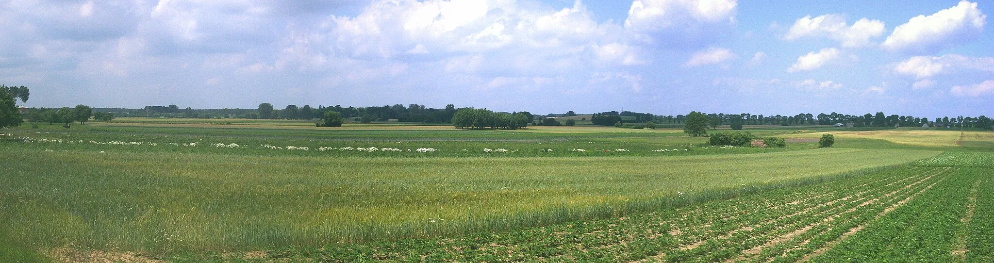 Photo showing: Dolina Strugi spod Strzembowa między Strzembowem i Januszewem. Widok ze skrzyżowania w południowym Januszewie w 2011 r.