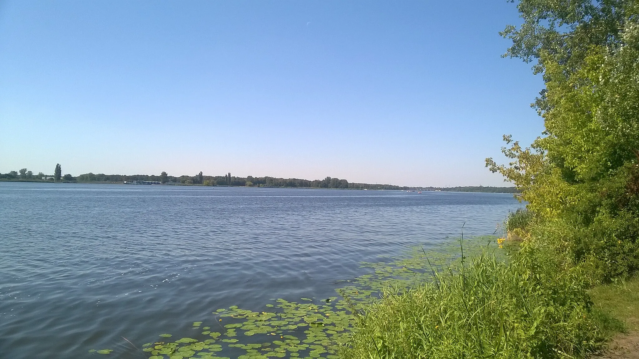 Photo showing: Narew w Jachrance, Mazowsze.