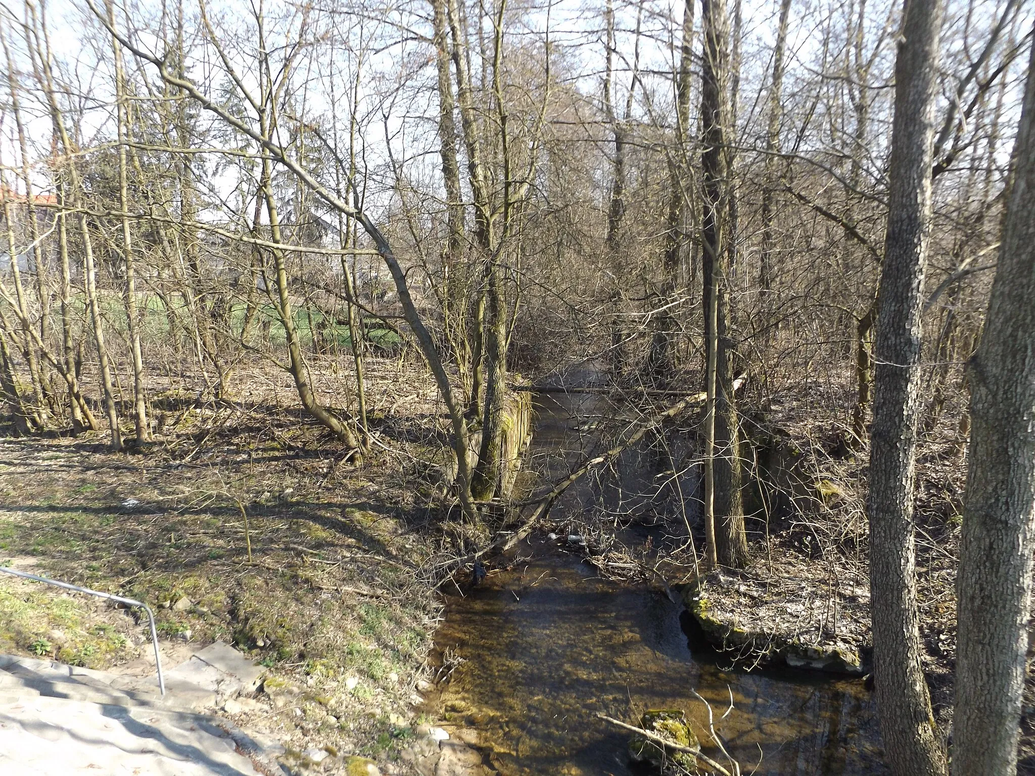 Photo showing: Pozostałości mostu przez Dopływ spod Radzikowa Starego (nazwa wg mapy wody.isok.gov.pl) w Goławinie w 2008 r.