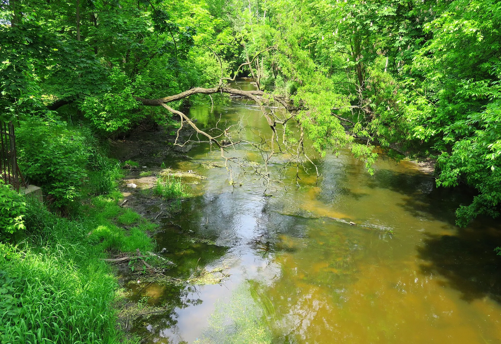 Photo showing: Rzeka Jeziorka w Chylicach