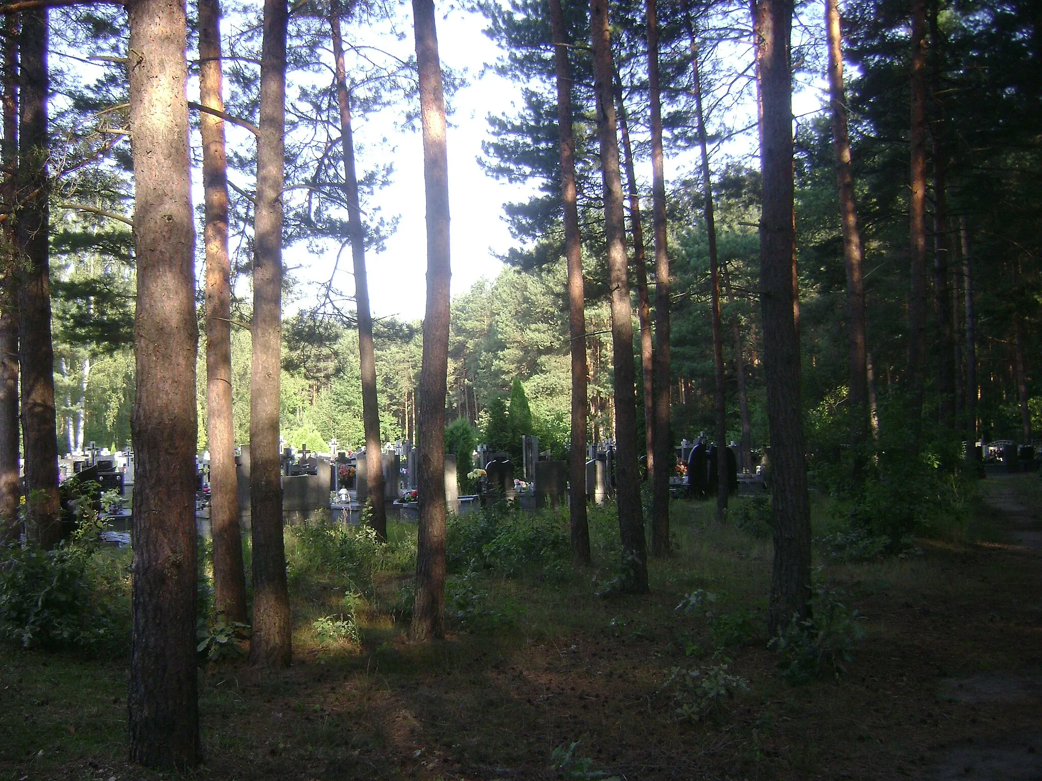 Photo showing: Gmina Góra Kalwaria, wieś Baniocha. Cmentarz parafialny.
