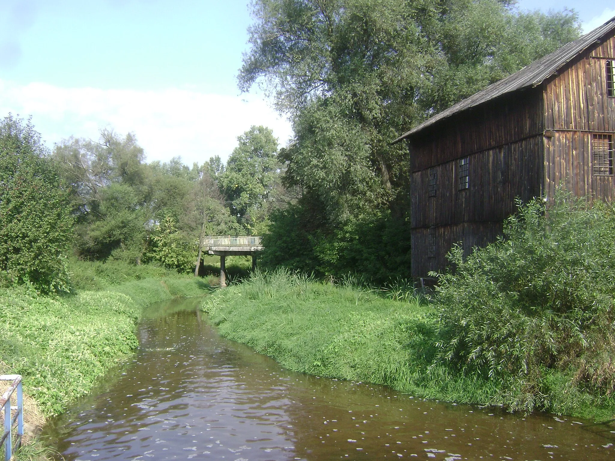 Photo showing: Rzeka Jeziorka