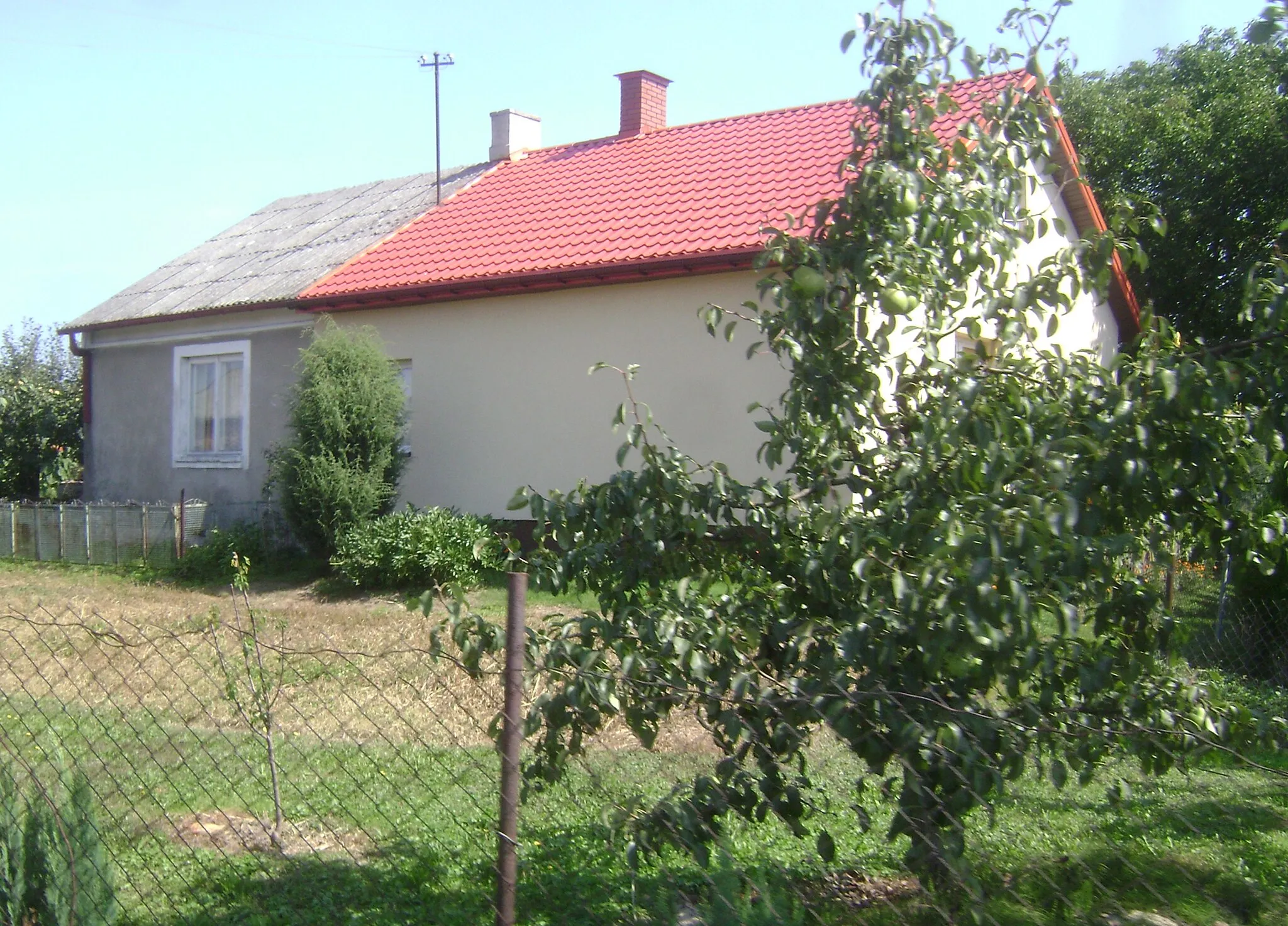 Photo showing: Królewski Las