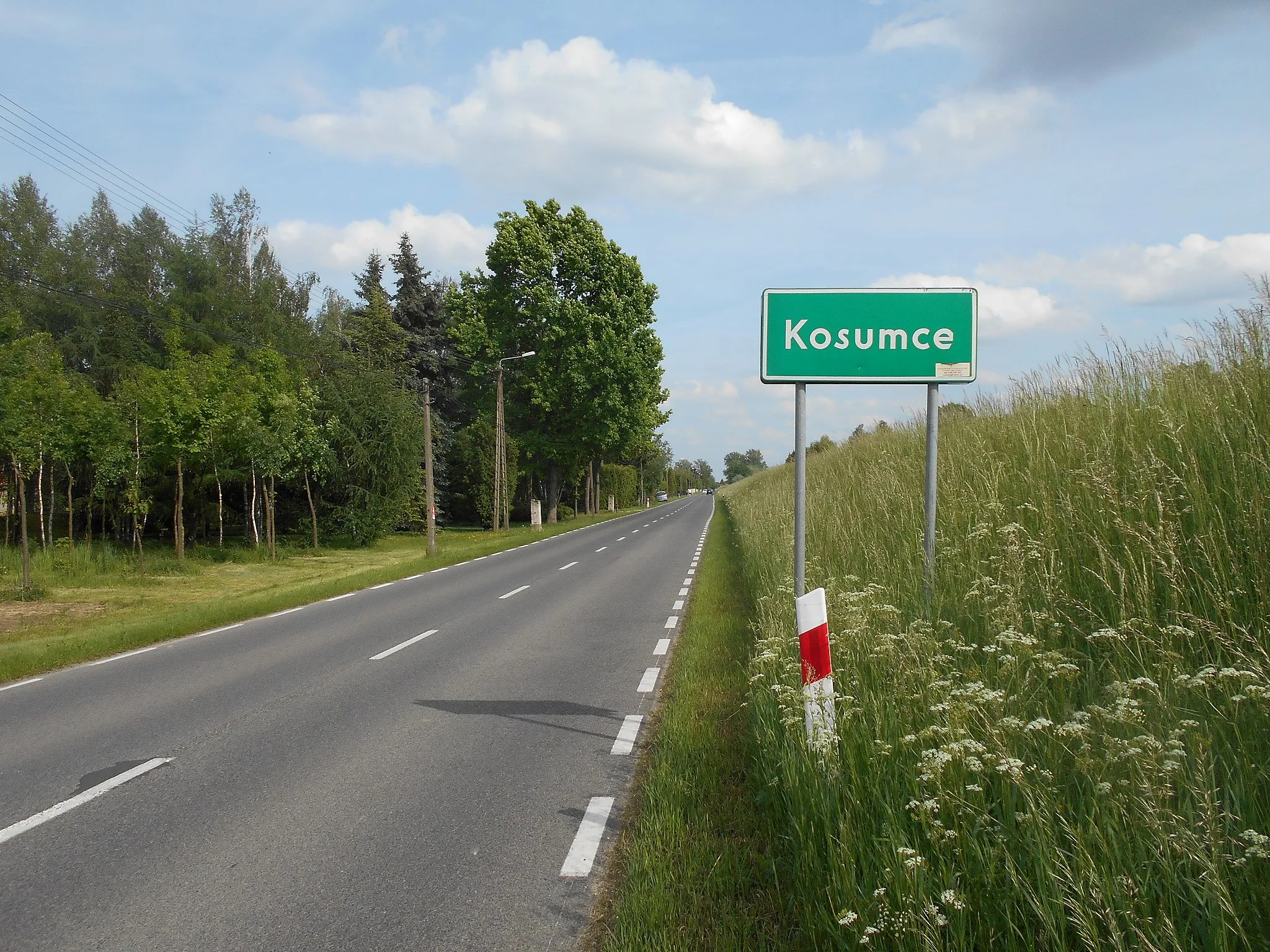 Photo showing: Miejscowość w gminie Karczew