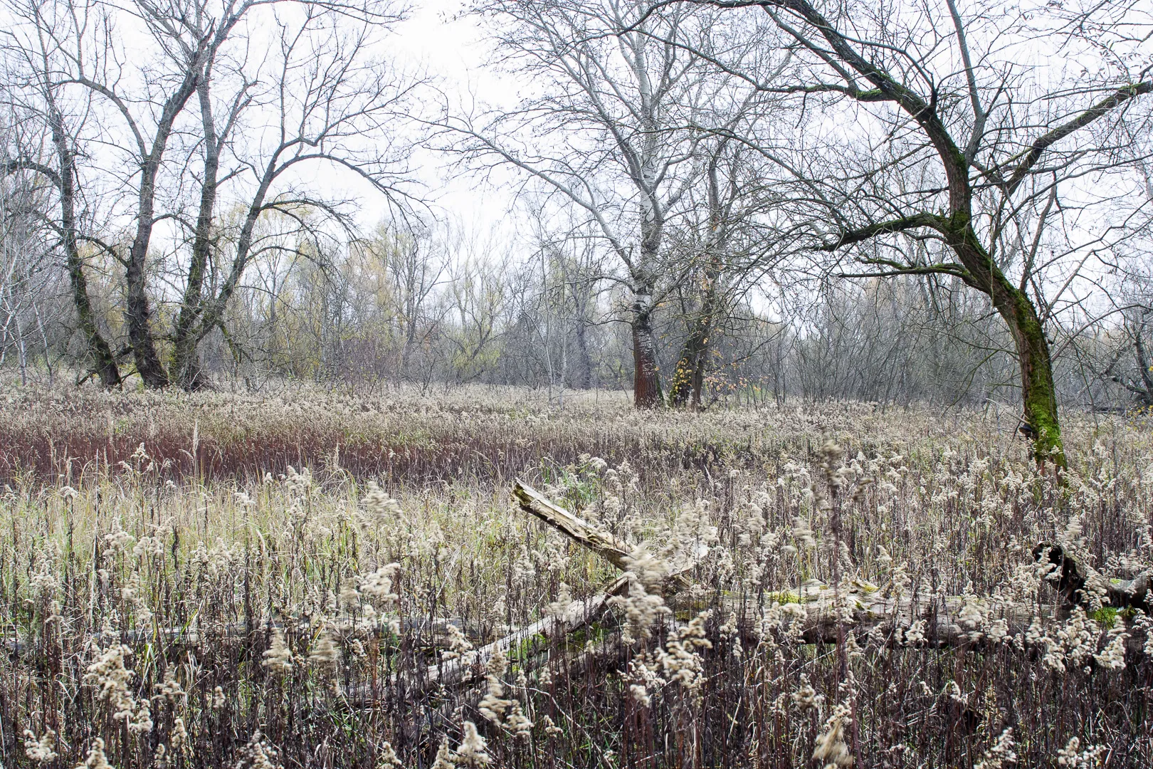 Photo showing: This is a a picture of a Natura 2000 protected area with ID