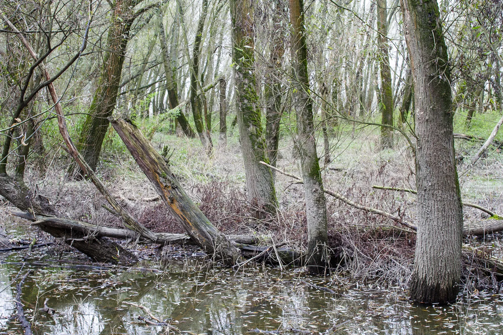 Photo showing: This is a a picture of a Natura 2000 protected area with ID