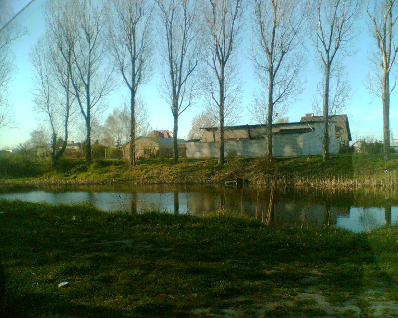 Photo showing: Macierzysz - staw w pobliżu gospodarskiej zabudowy