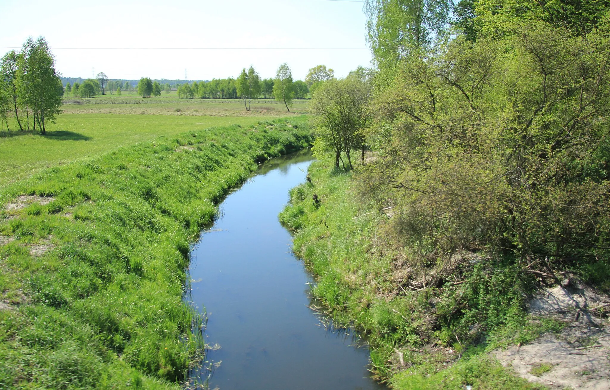 Photo showing: Beniaminówka - sztuczny ciek wodny k. Radzymina