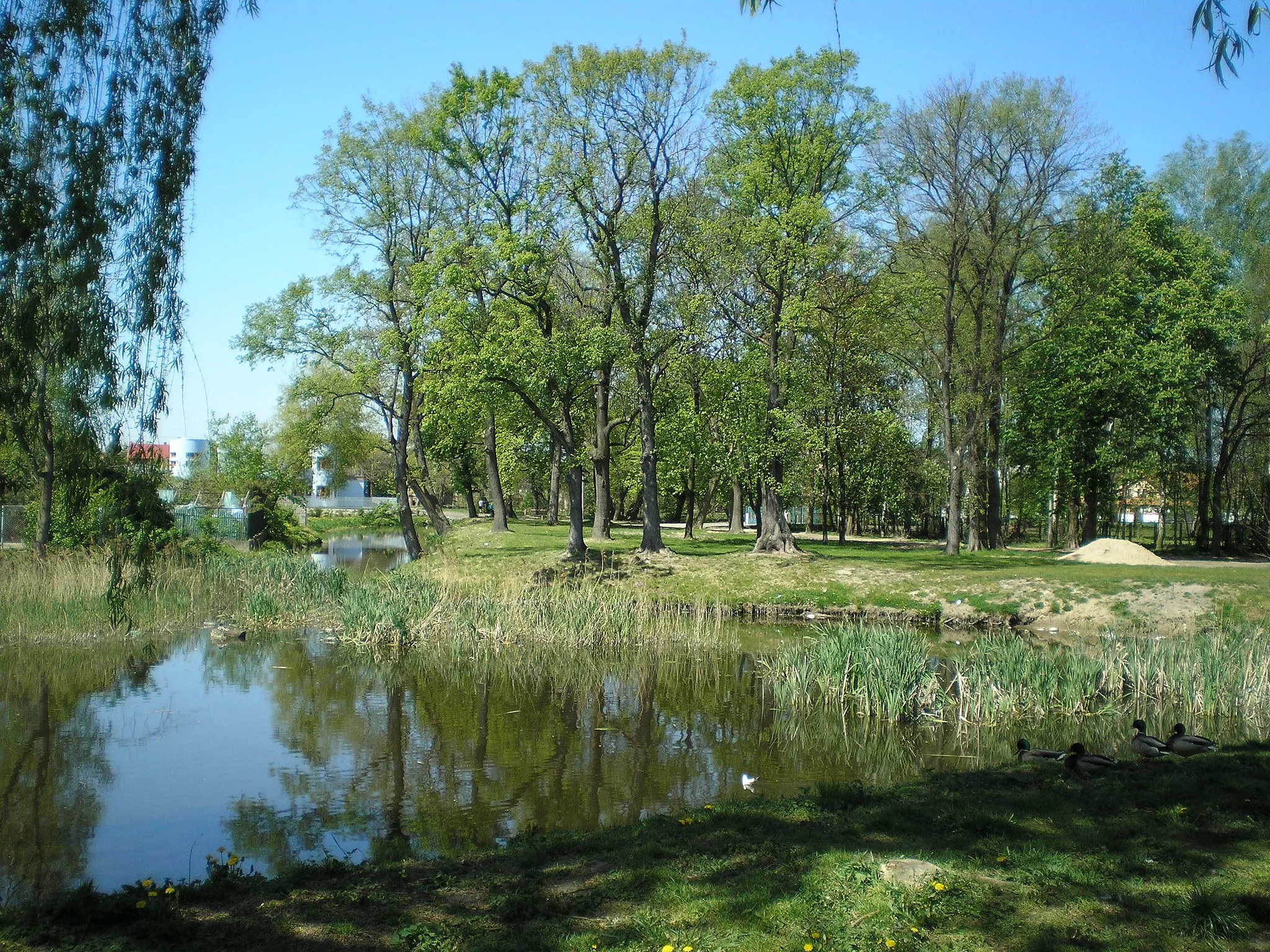 Photo showing: Częściowo zachowany park krajobrazowy z XVIII wieku