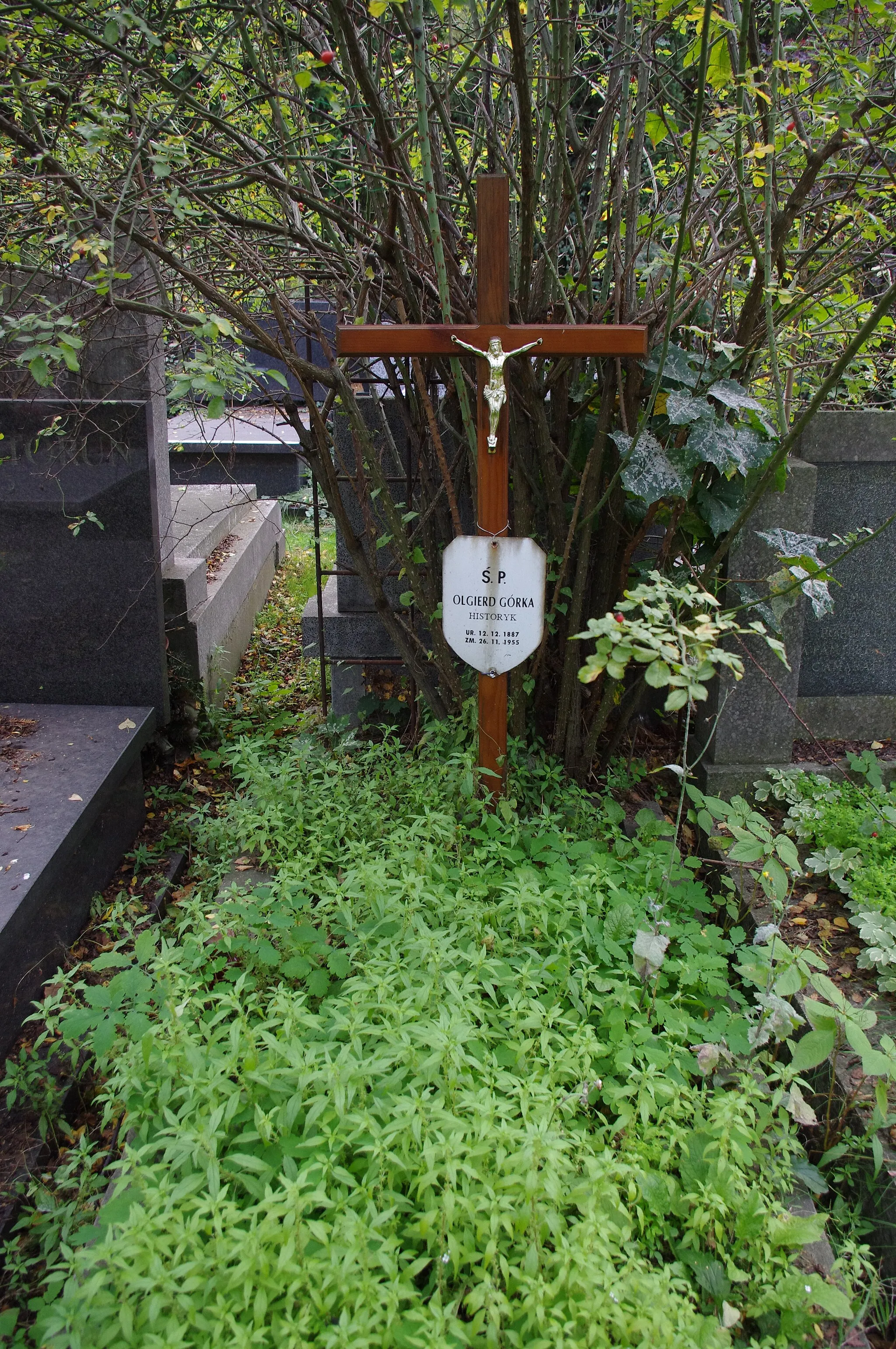 Photo showing: Grób historyka i dyplomaty Olgierda Górki na  Cmentarzu Wojskowym na Powązkach w Warszawie