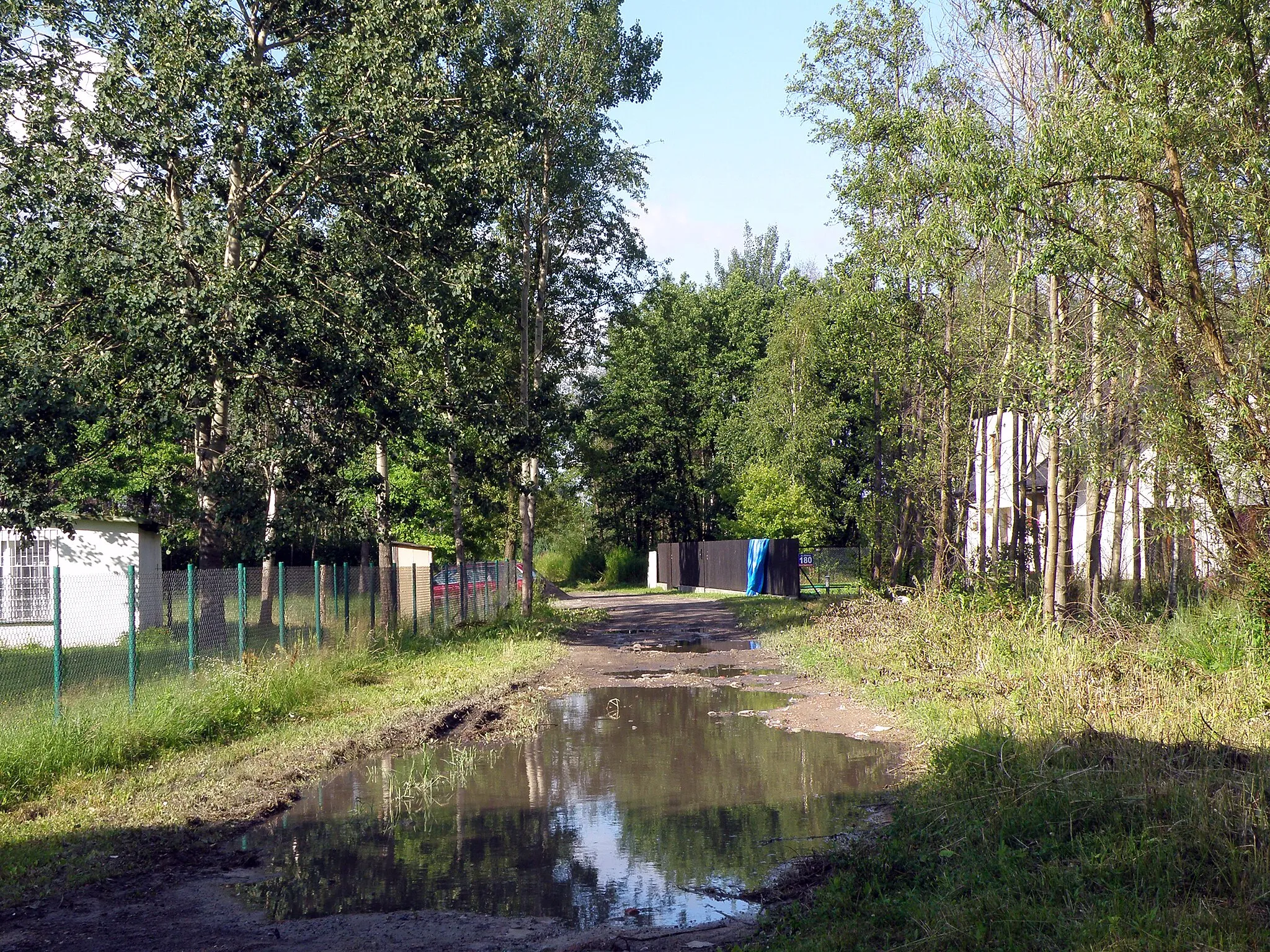 Photo showing: Krzaki Czaplinkowskie - województwo mazowieckie, powiat piaseczyński, gmina Góra Kalwaria.