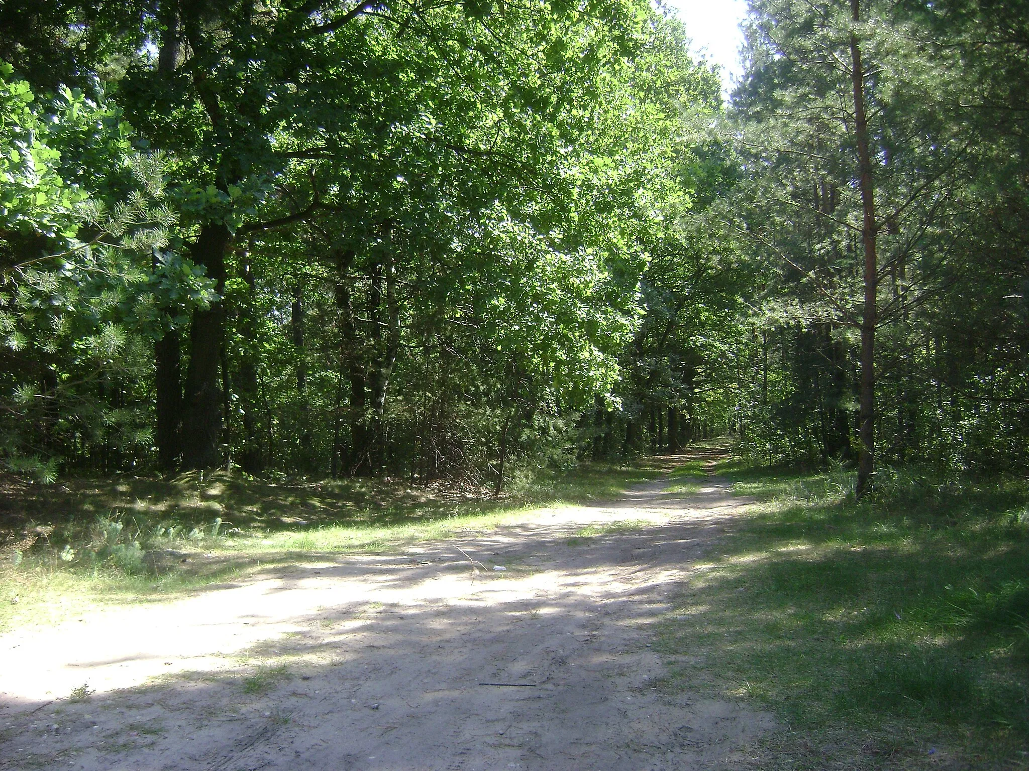 Photo showing: Chojnowski Park Krajobrazowy, okolice wsi Dobiesz