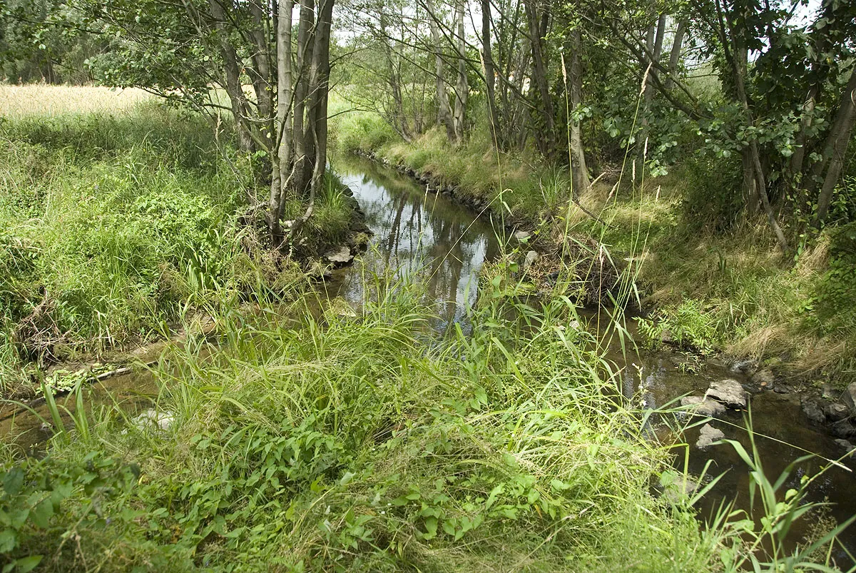 Photo showing: Rzeczka Zielona - Kanał Czarna