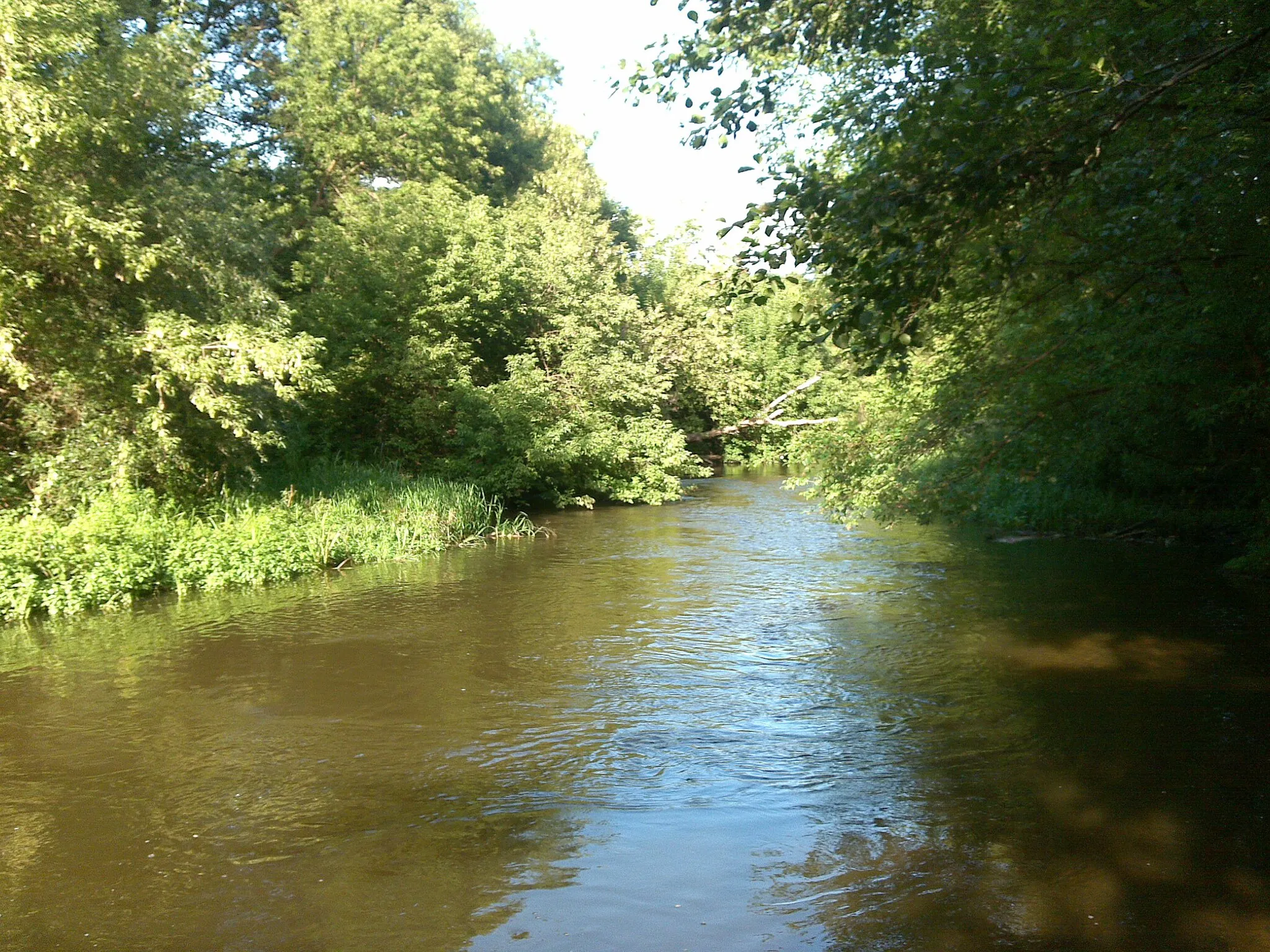 Photo showing: Świder river