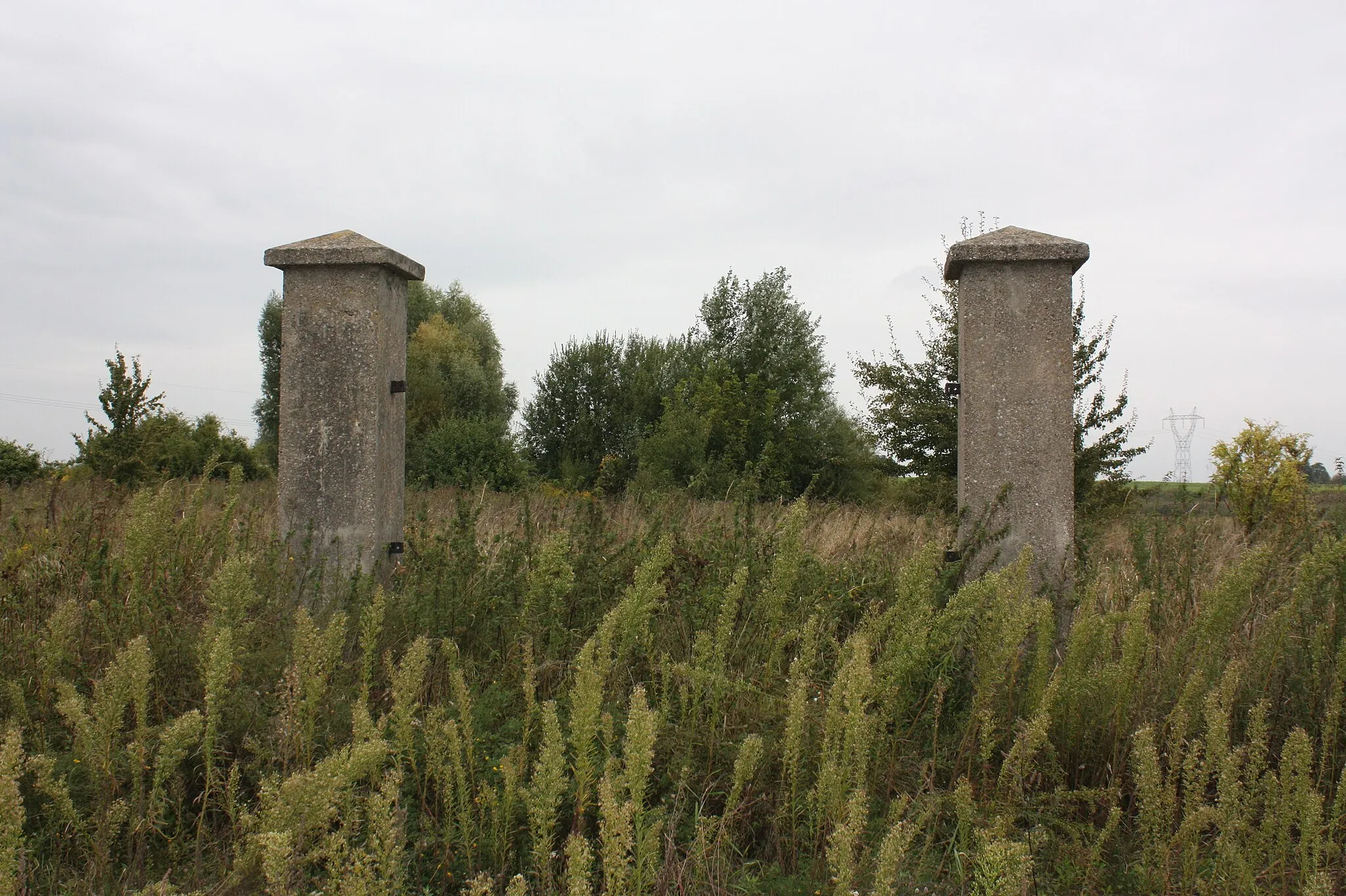 Photo showing: Błonie, cmentarz żydowski, XIX, XX