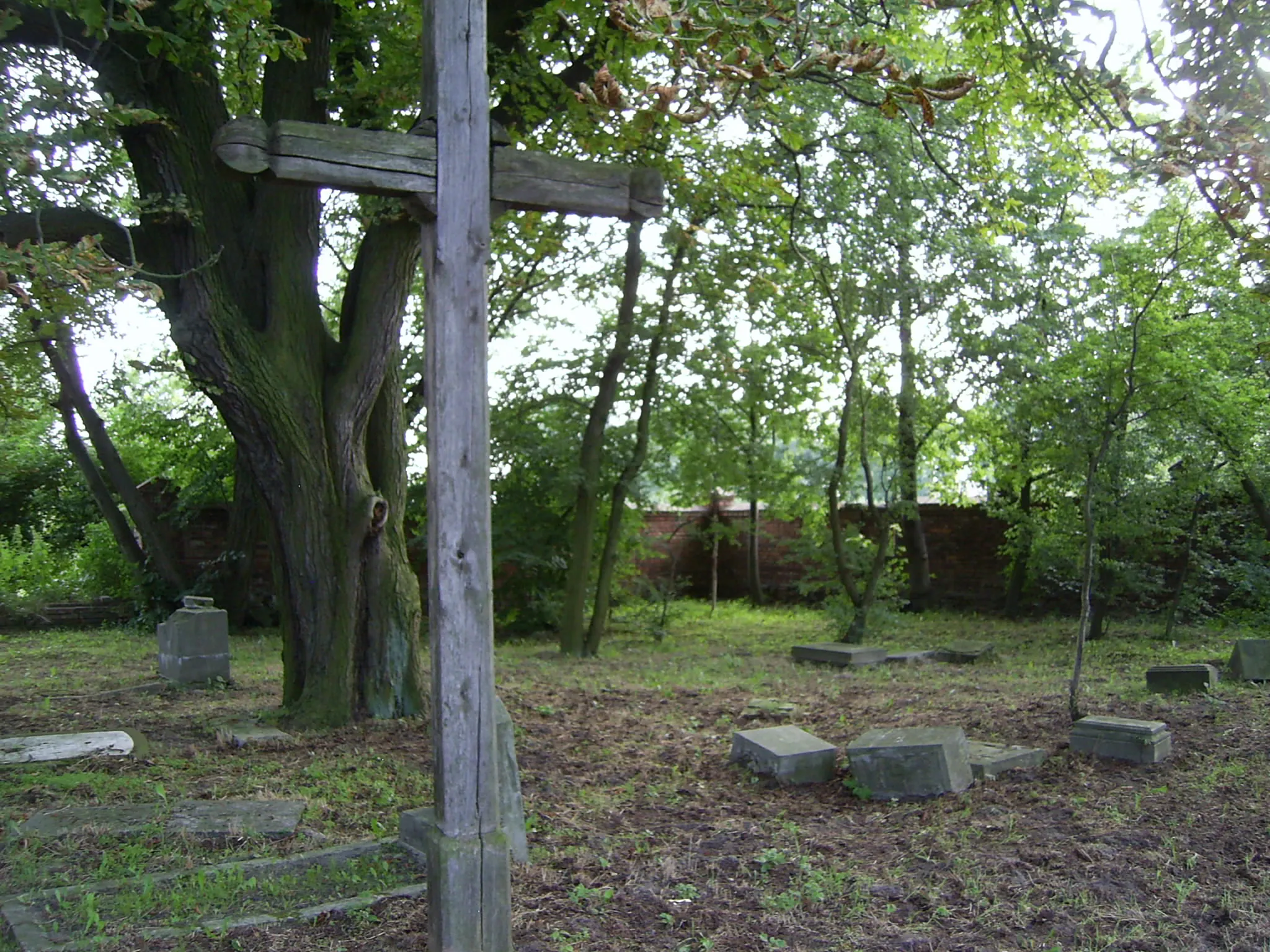 Photo showing: Cmentarzyk ewangelicki w Koszajcu