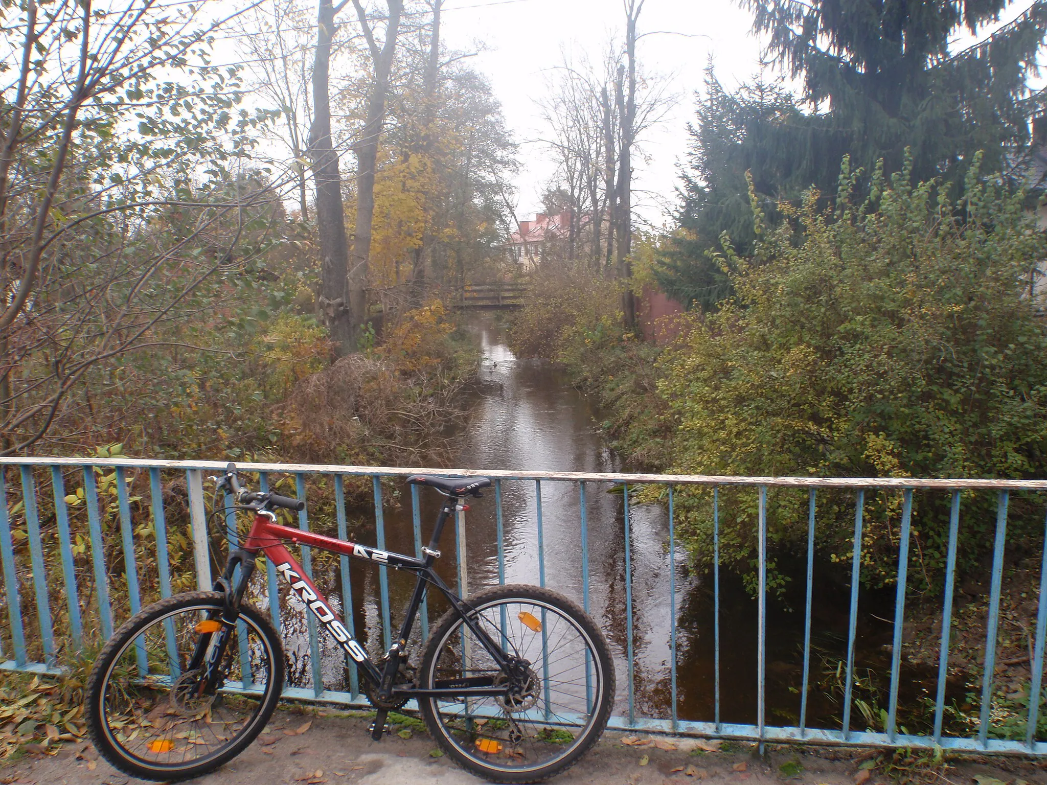 Photo showing: Czarna Struga 29.10.2009