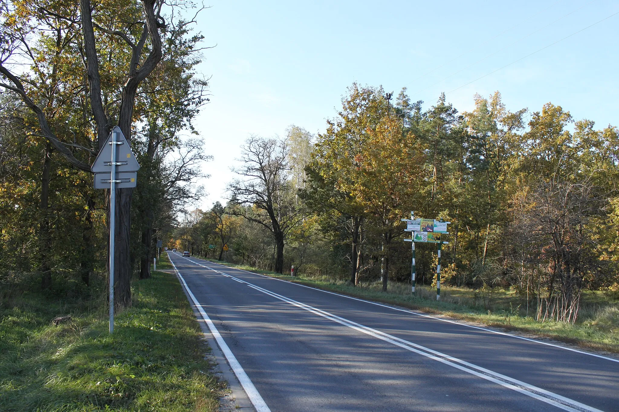Photo showing: Voivodeship road 632, gmina Nieporęt near Marki in Poland.