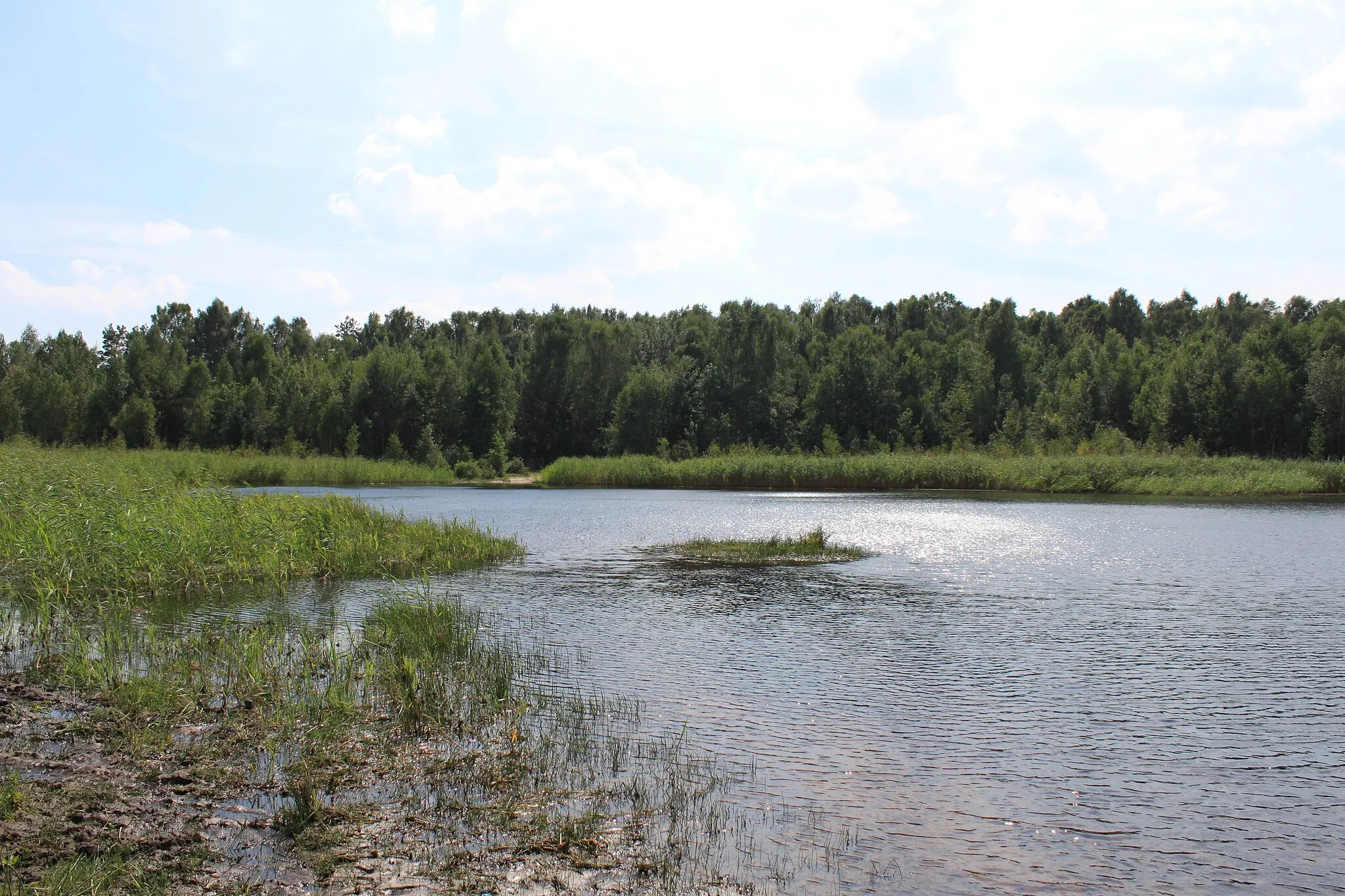 Photo showing: Lake Czarne in Marki, Poland