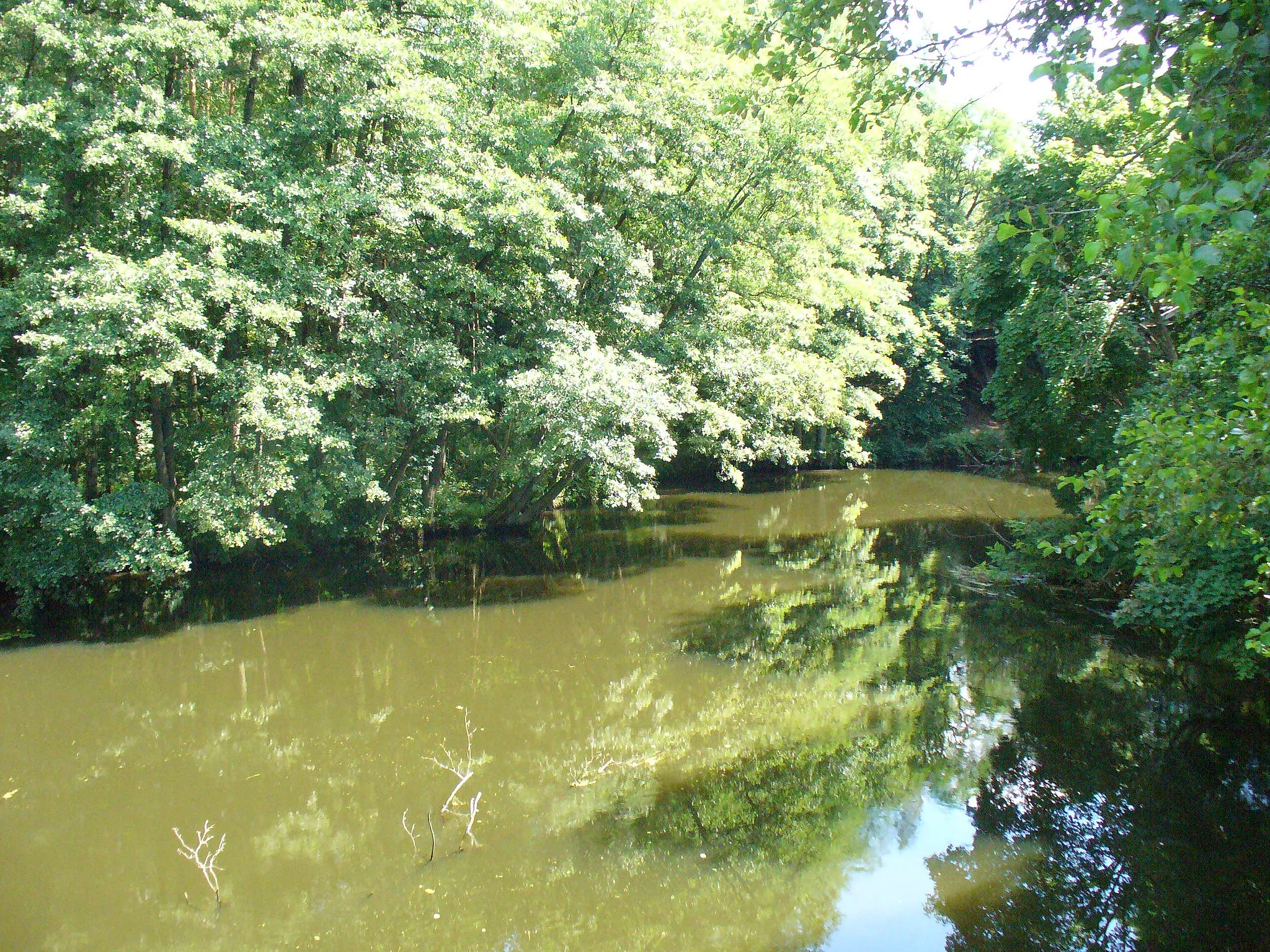 Photo showing: rzeka Gwda