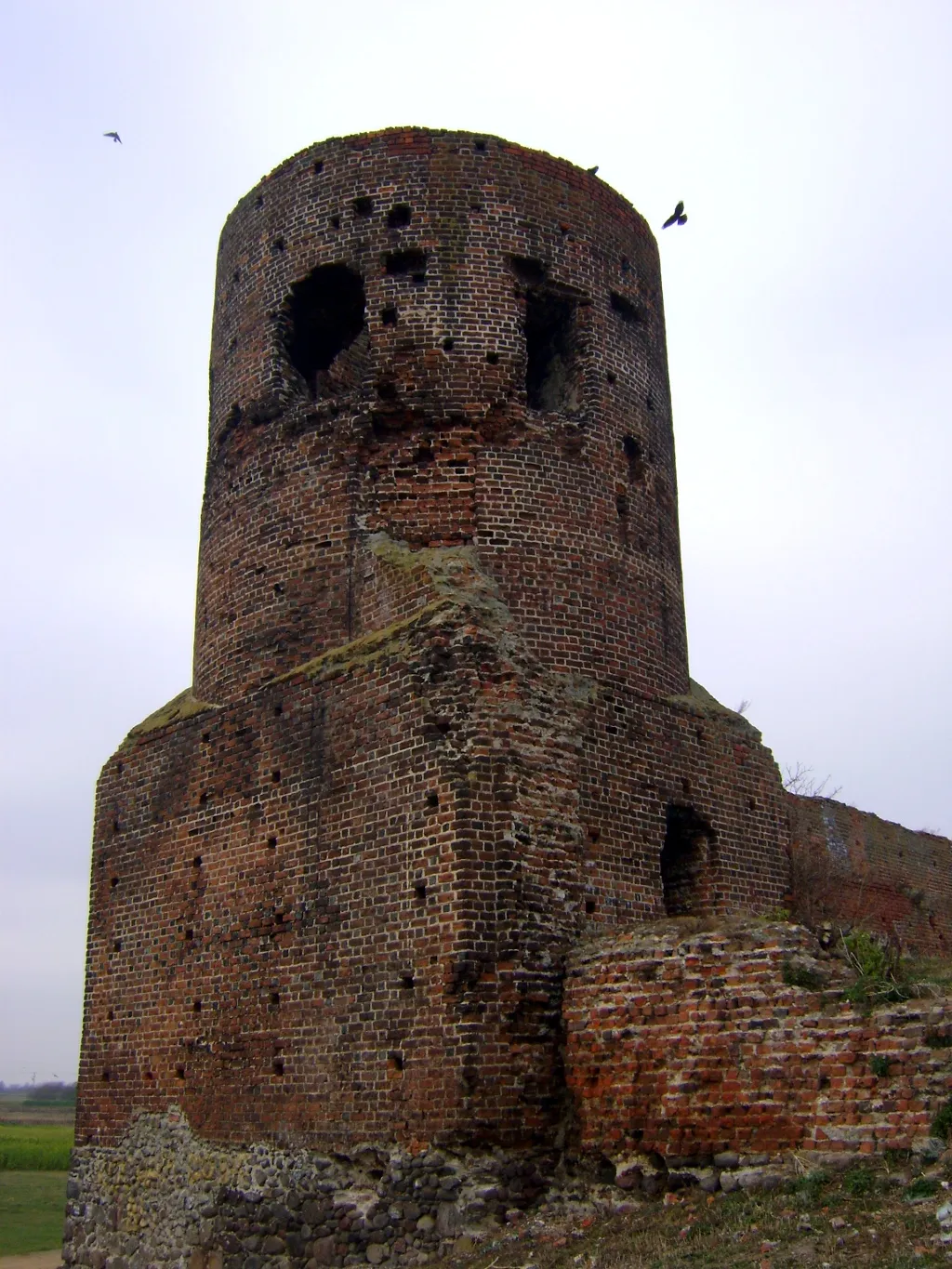 Photo showing: Koło - ruiny zamku (zabytek nr 30/380)