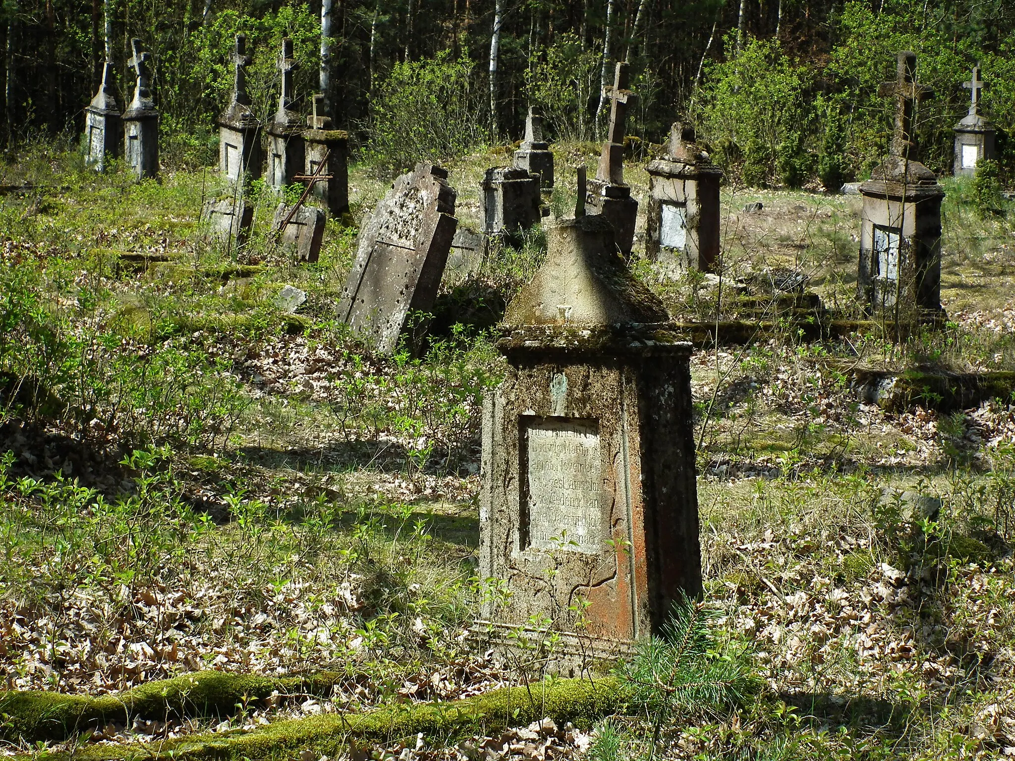 Photo showing: Cmentarz ewangelicki w Orlinie Dużej.