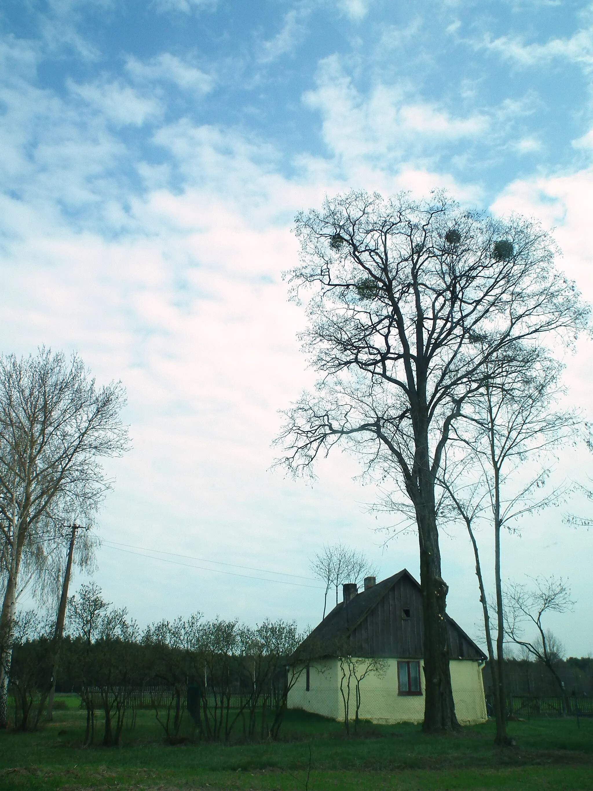 Photo showing: Stara chałupa we wsi Tomice-Las w gm. Gizałki.