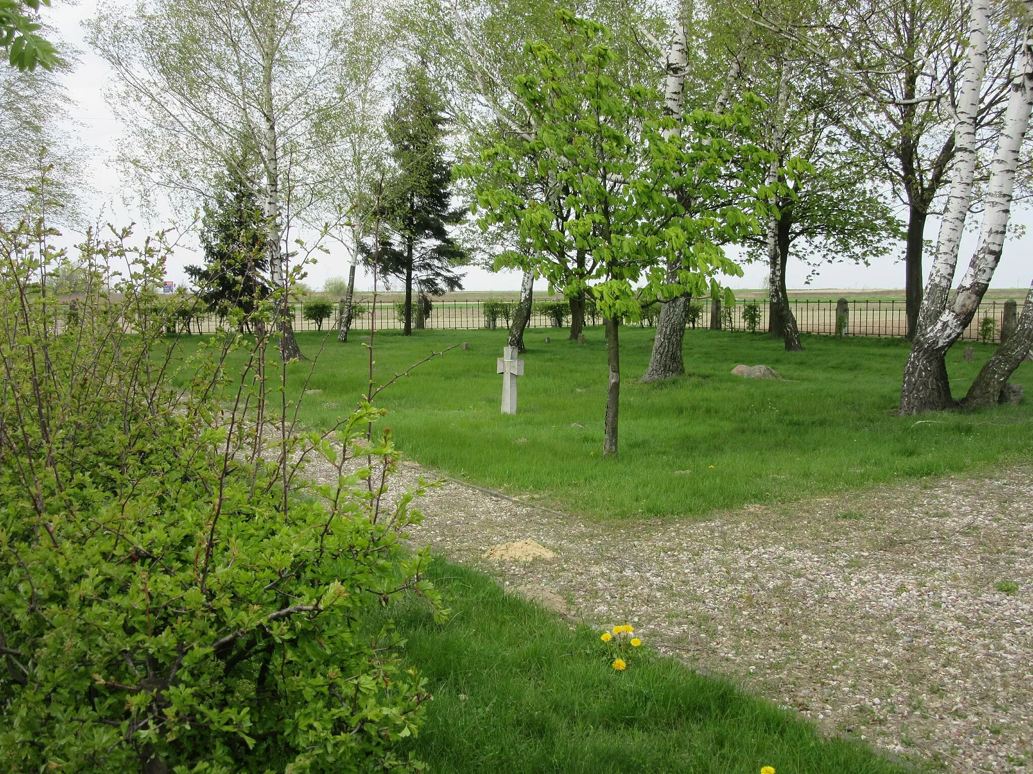 Photo showing: Ukraiński Cmentarz Wojskowy w Kaliszu