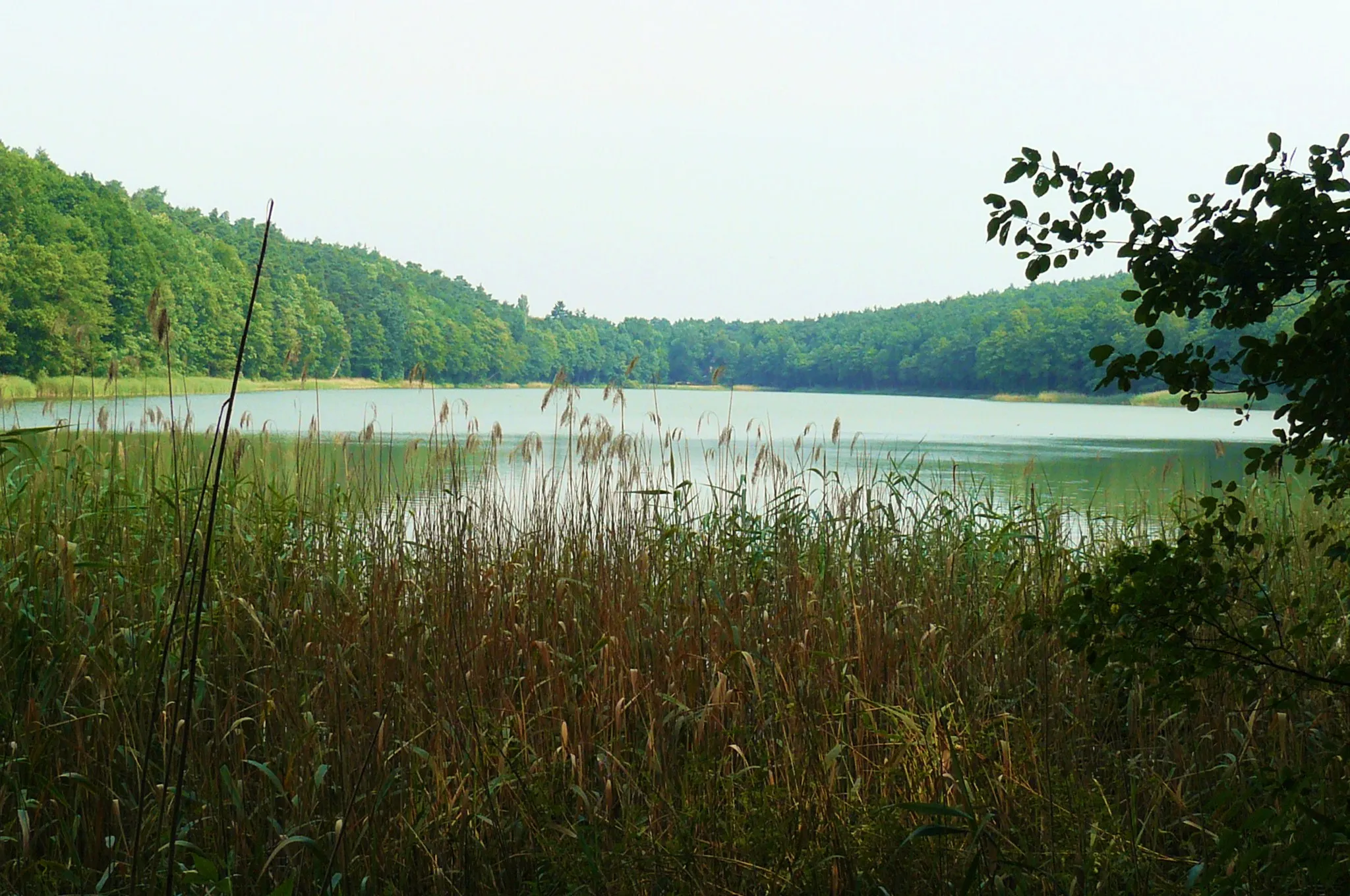 Photo showing: Chodzież - Strzeleckie Lake PL.