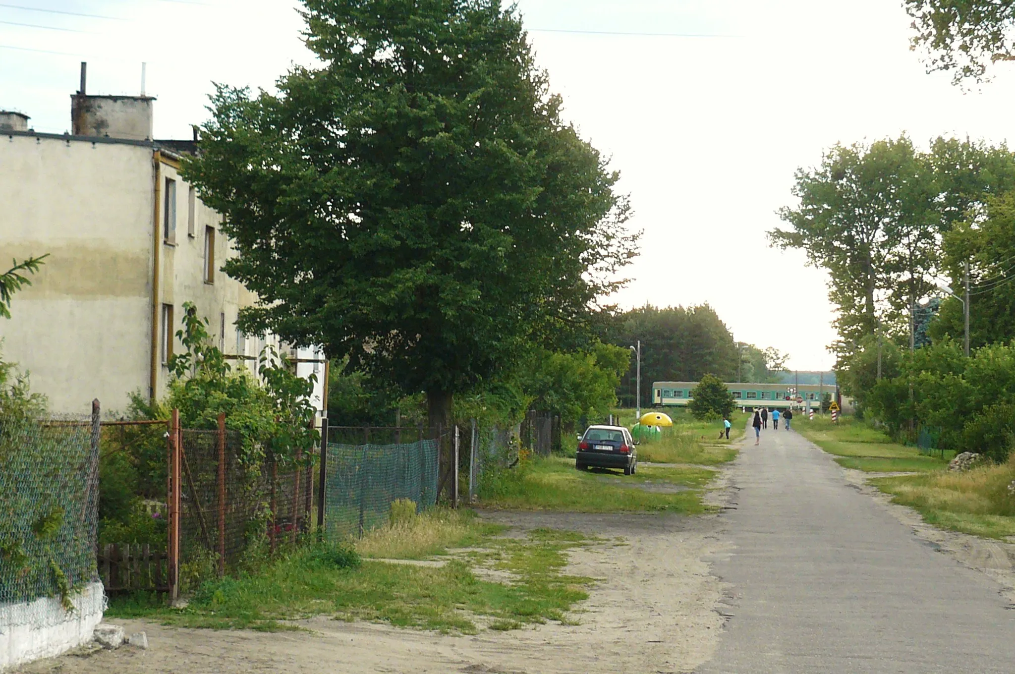 Photo showing: Tarnowo (around Rogozno Wlkp.).