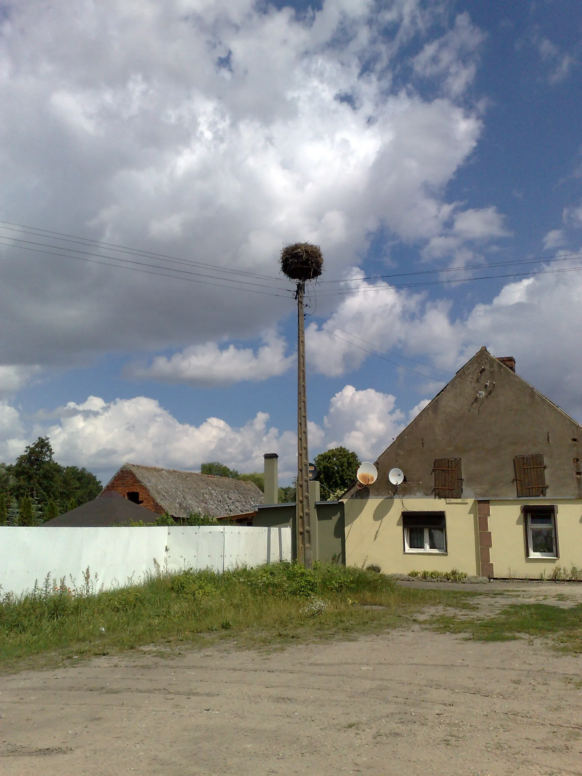 Photo showing: Bocianie gniazdo. Zdjęcie wykonano w Rudzie w w. wielkopolskim w powiecie obornickim w gminie Rogoźno