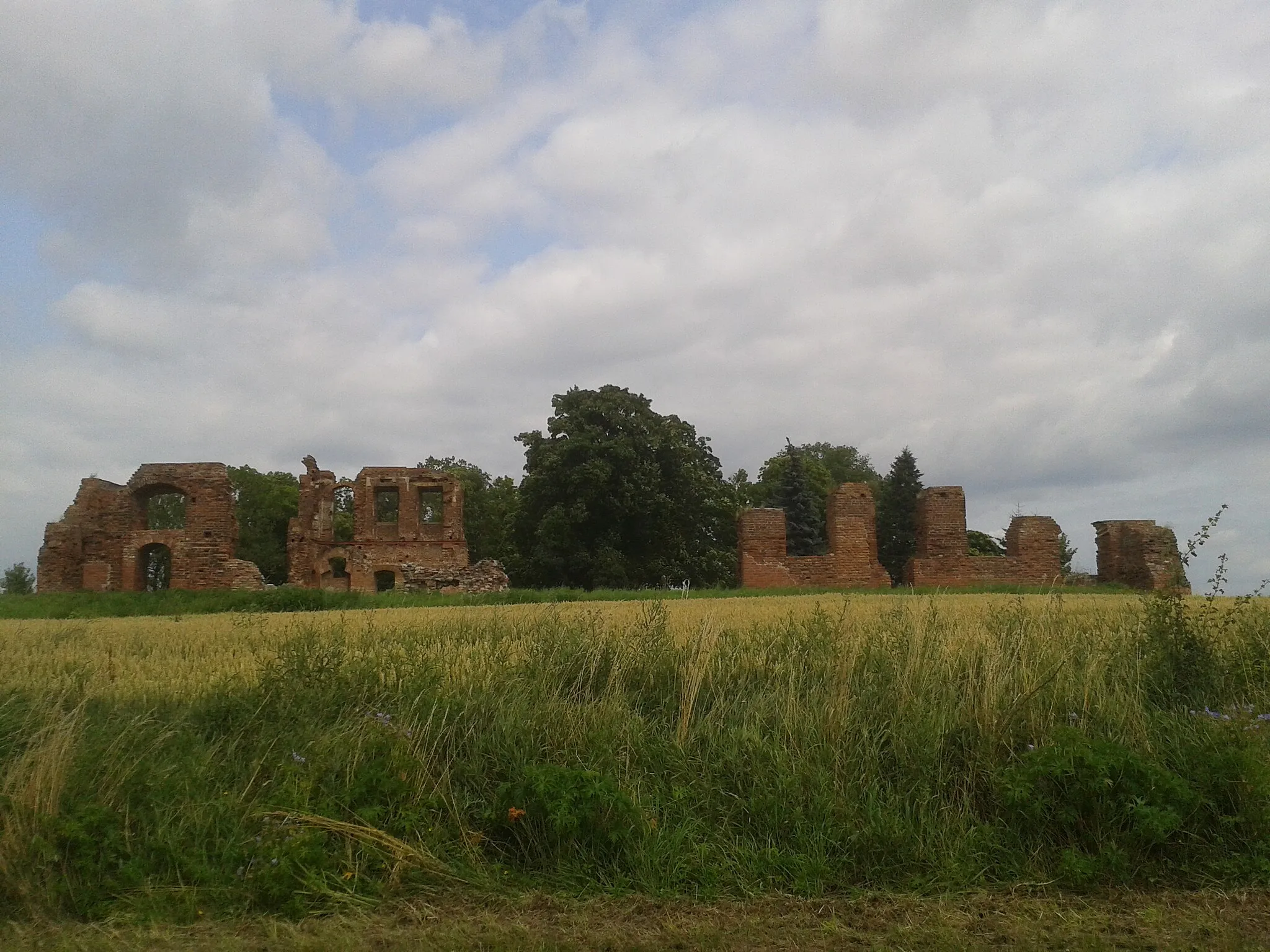 Photo showing: Ruiny pałacu w Radlinie