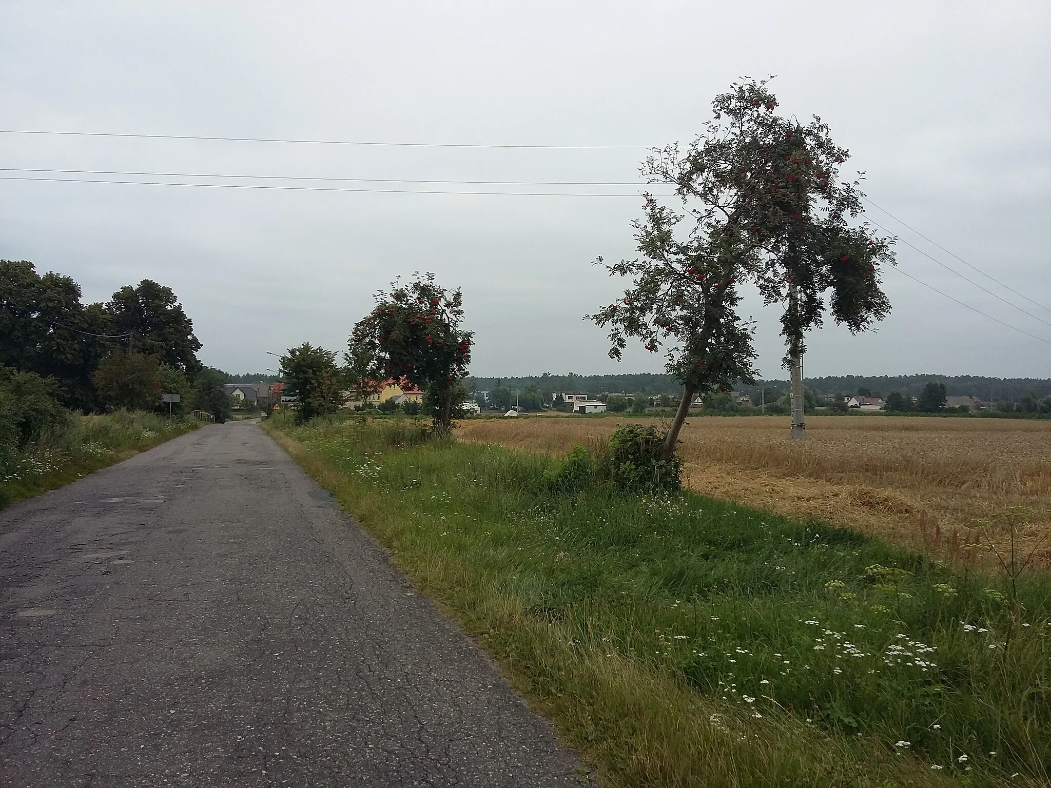 Photo showing: Zdjęcie przedstawiające widok wsi od strony drogi wojewódzkiej nr 187.