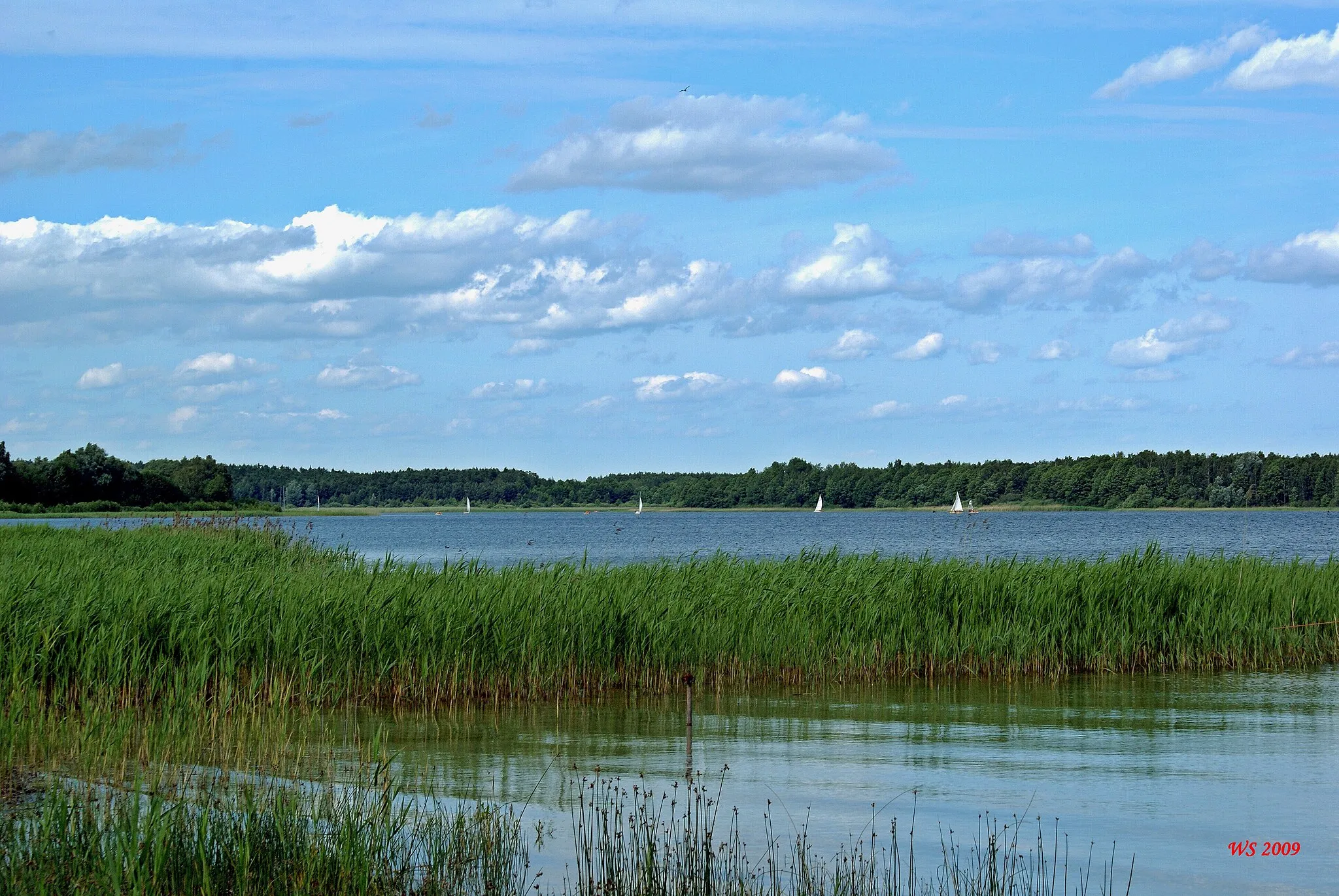 Photo showing: Jezioro Powidzkie