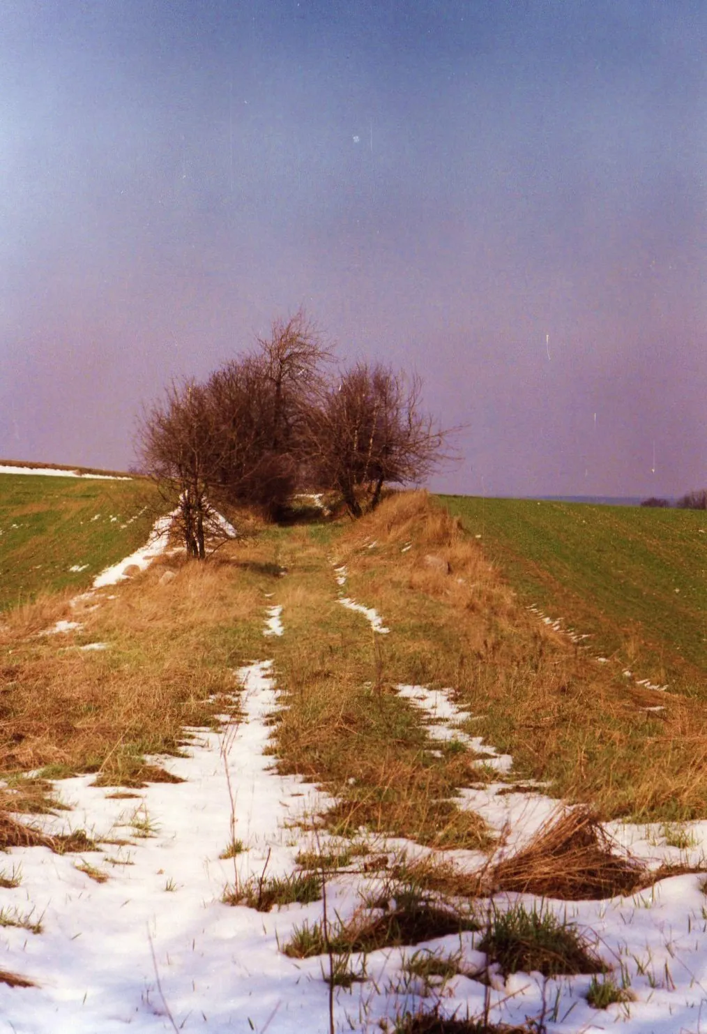 Photo showing: Przedwiośnie na wschodnich stokach Góry Moraskiej w Poznaniu.