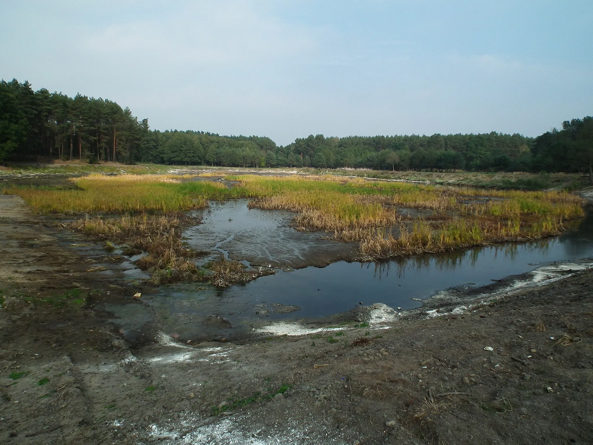 Photo showing: Rzeka Flinta w Piłce-Młynie.