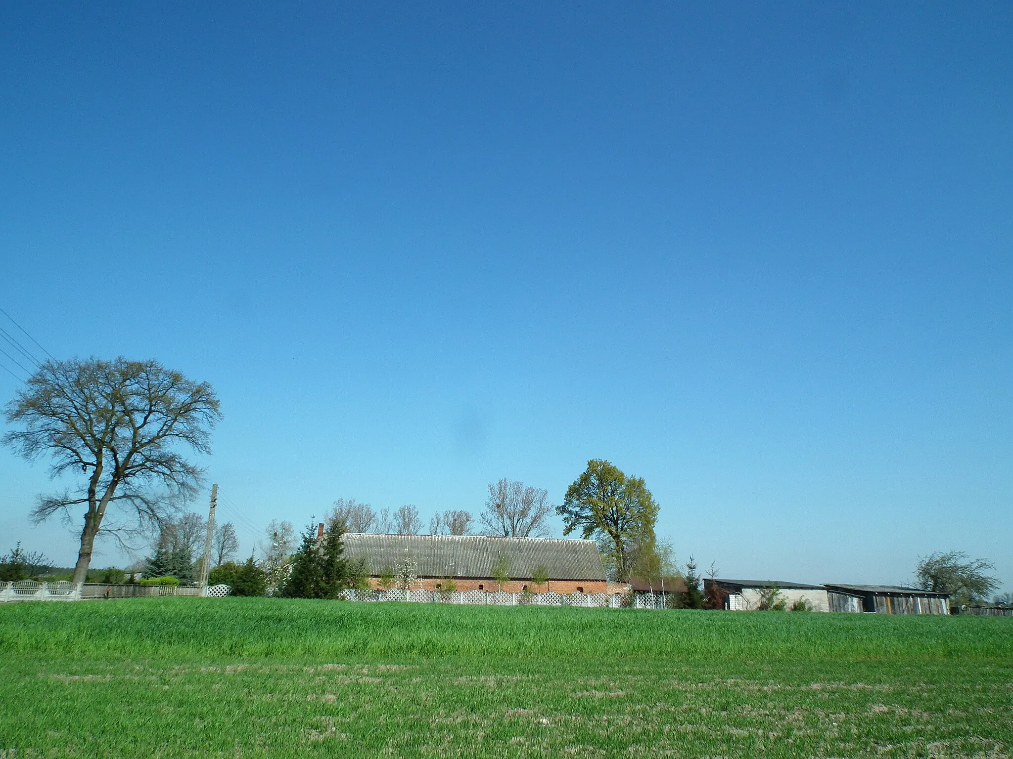 Photo showing: Wieś Bukowe w gm. Zagórów.