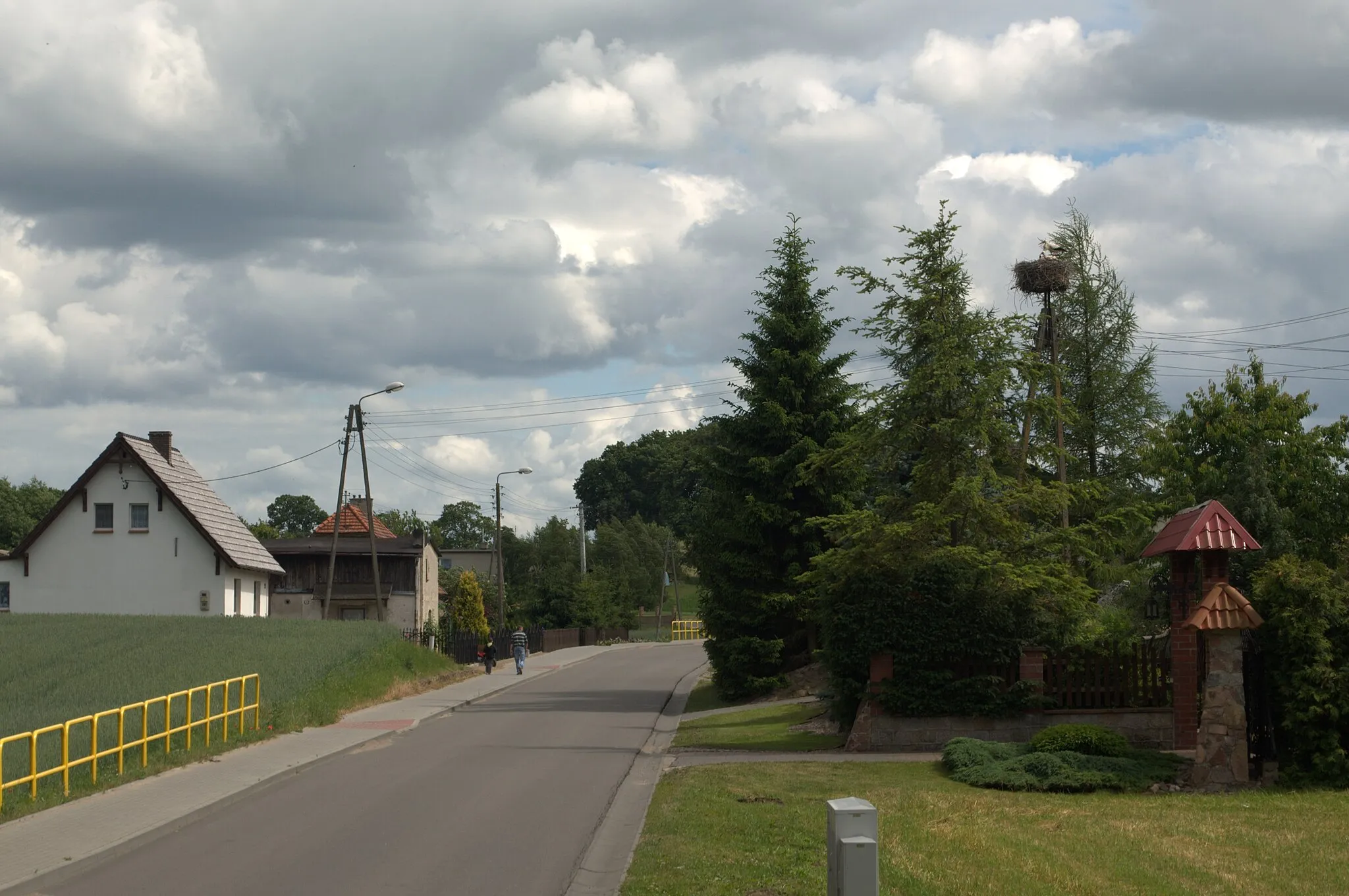 Photo showing: Stork nest in orchard in Kęsowo, Kuyavian-Pomeranian Voivodeship, Poland