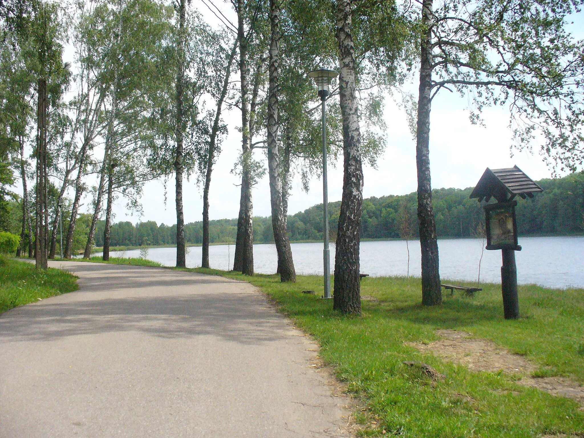 Photo showing: Debrzno, ulica Jeziorna - miejsce przechadzek nad jeziorem Debrzno.