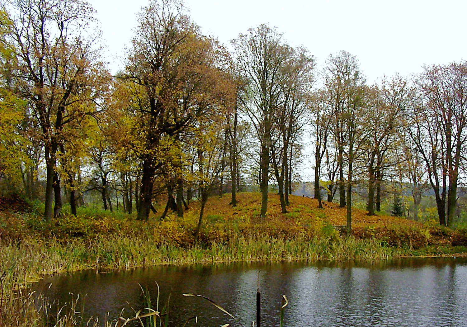 Photo showing: Brzostowo, park pałacowy
This is a photo of an object of cultural heritage inscribed in the registry of the Greater Poland Voivodeship with number A-309.