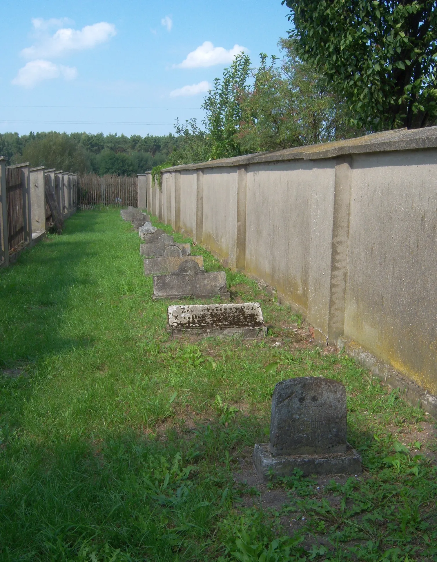 Photo showing: Old Reformed Cemetery in Żychlin from the late eighteenth century