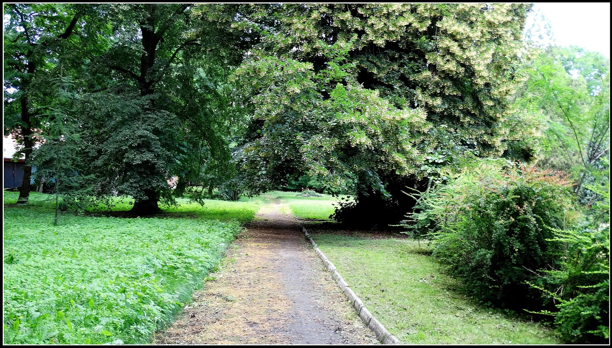 Photo showing: Wonieść, park of 1900, 100 years old stand: oaks, limes, maples, ash, chestnut trees, pines, spruces.
Poland  / gm. Śmigiel / pow. kościański / woj. wielkopolskie