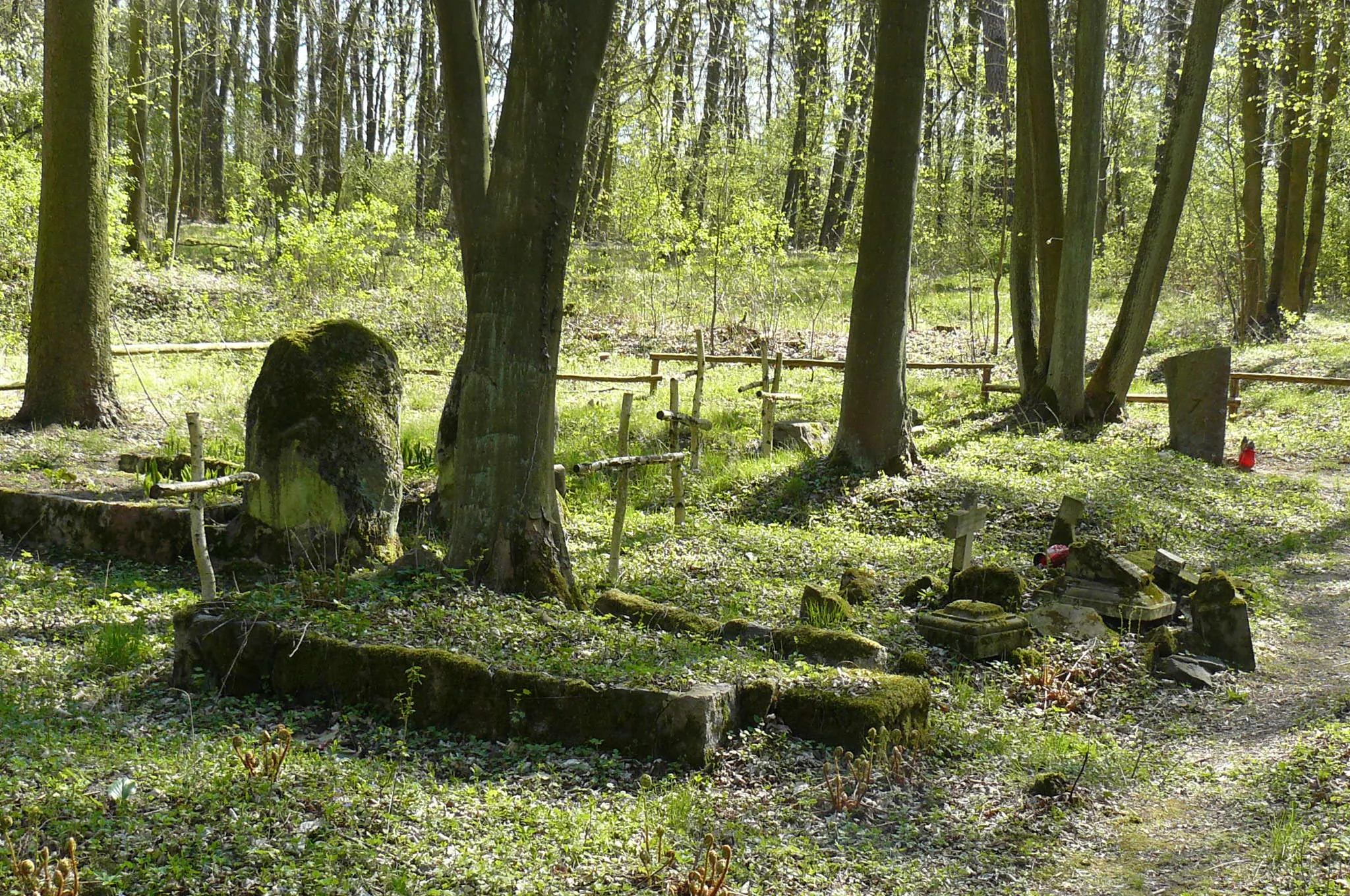 Photo showing: Family von Treskow cemetery - Wierzonka.