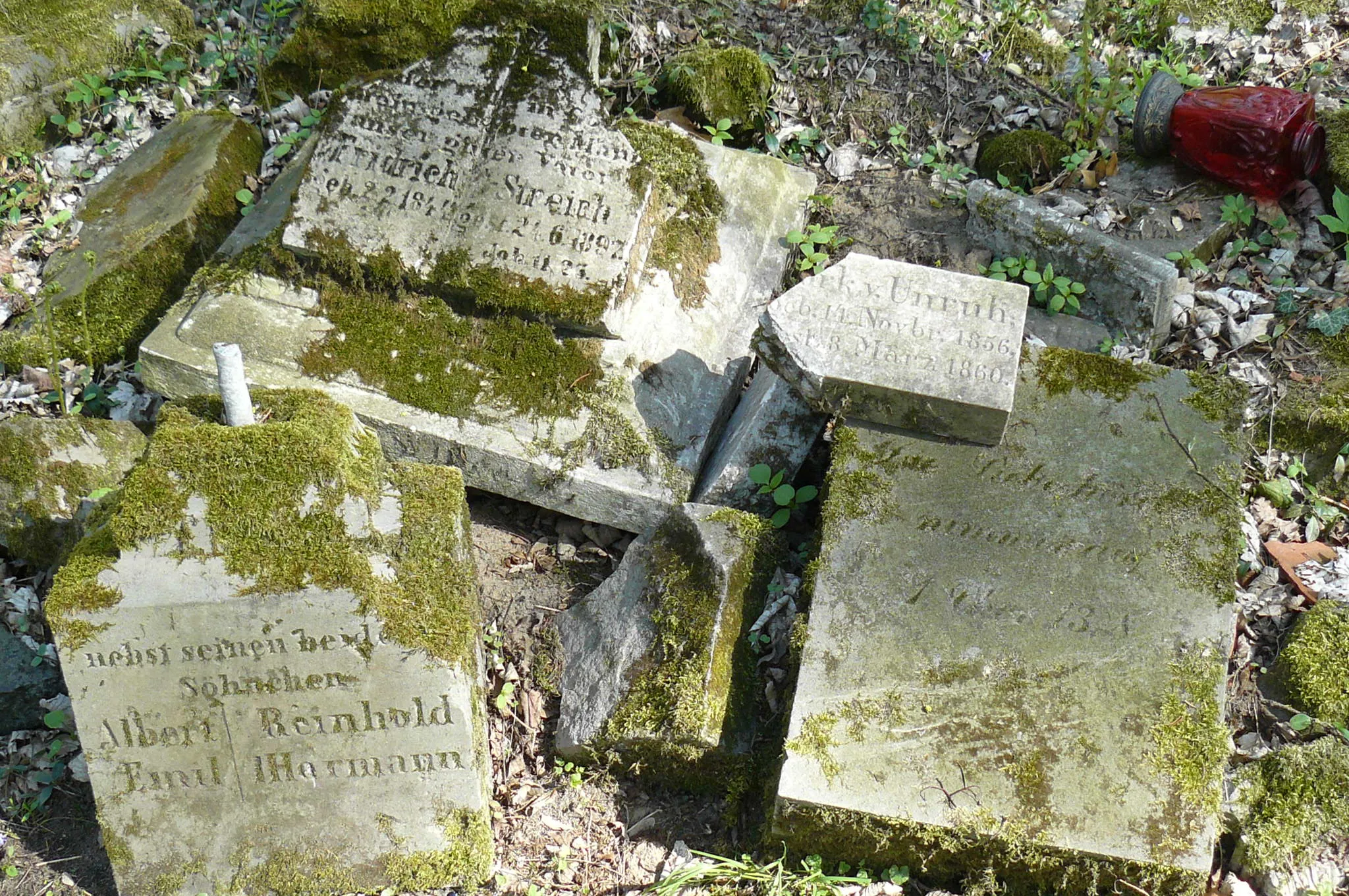 Photo showing: Family von Treskow cemetery - Wierzonka.