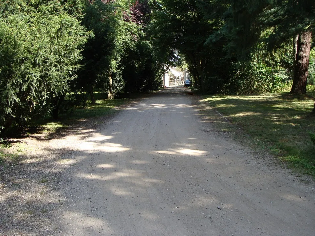 Photo showing: Turew (Greater Poland Voivodeship), park at Chłapowski Palace.