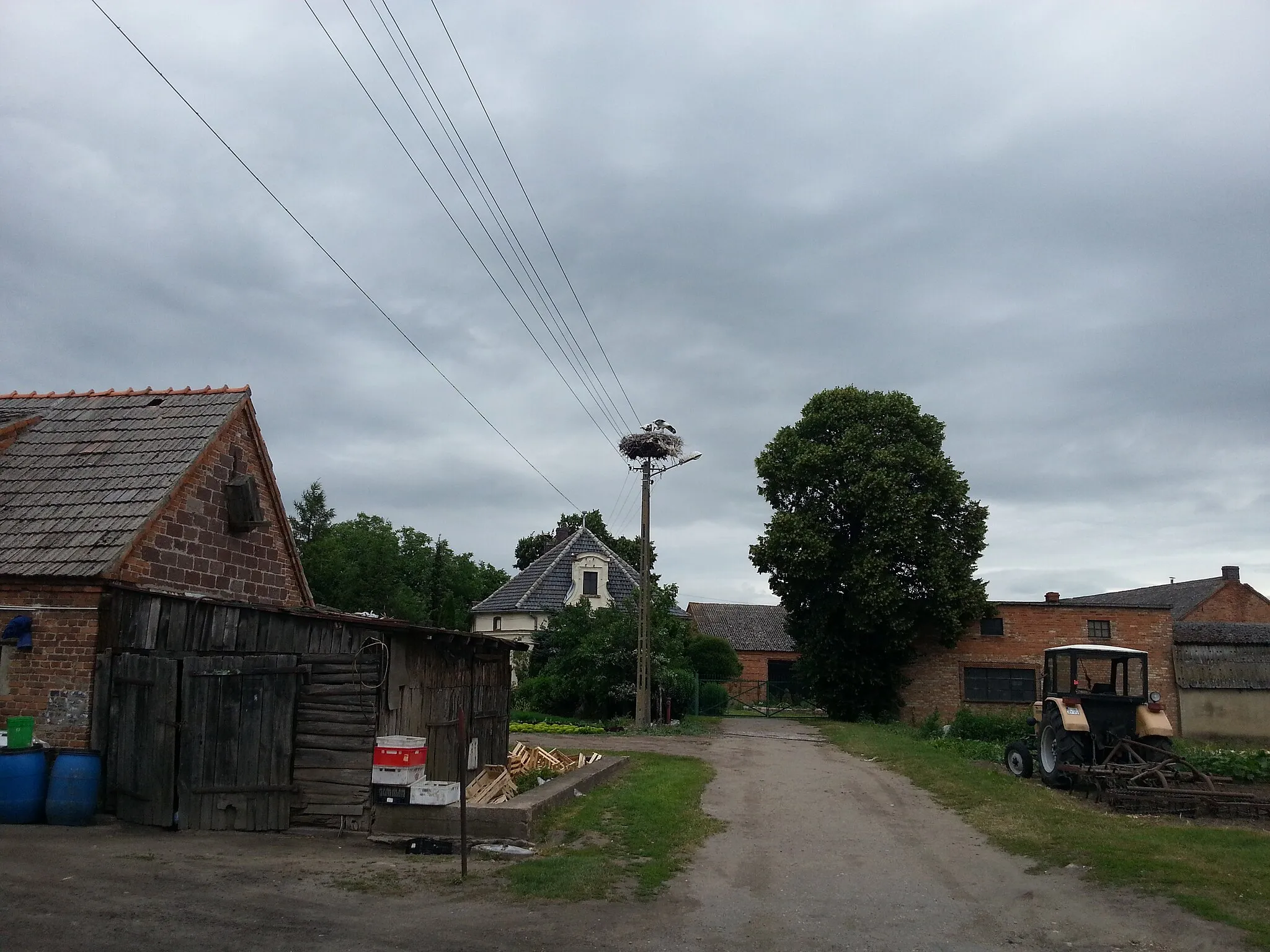 Photo showing: Gniazdo bociana białego w Trzebisławkach - pow. Średzki, woj. wielkopolskie