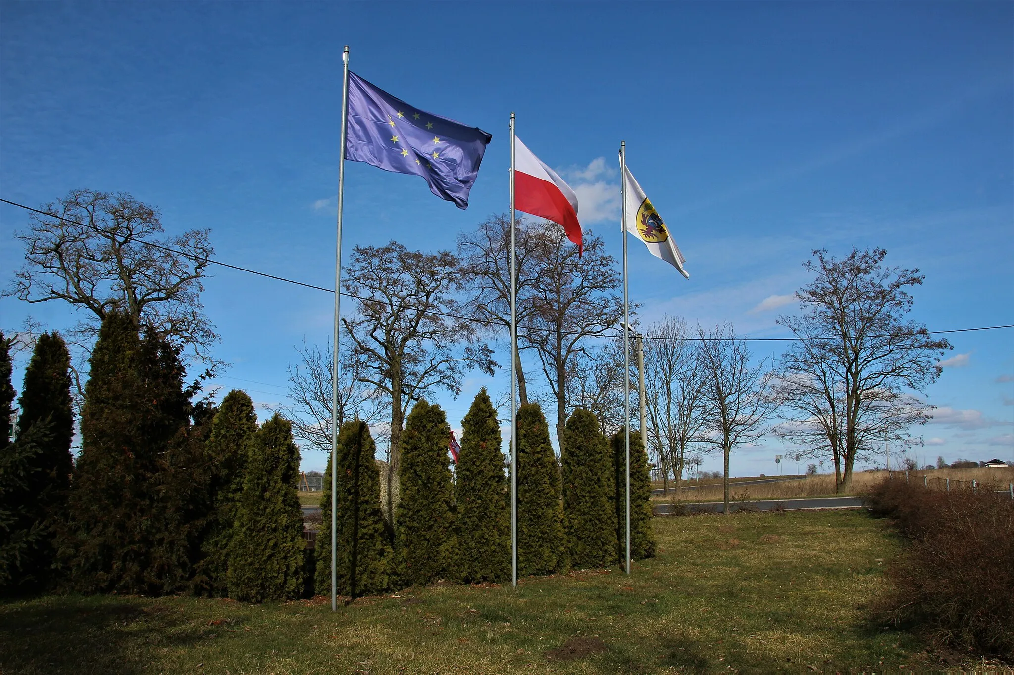 Photo showing: Flagi: Unii Europejskiej, Polski i Gminy Dopiewo w miejscowości Trzcielin