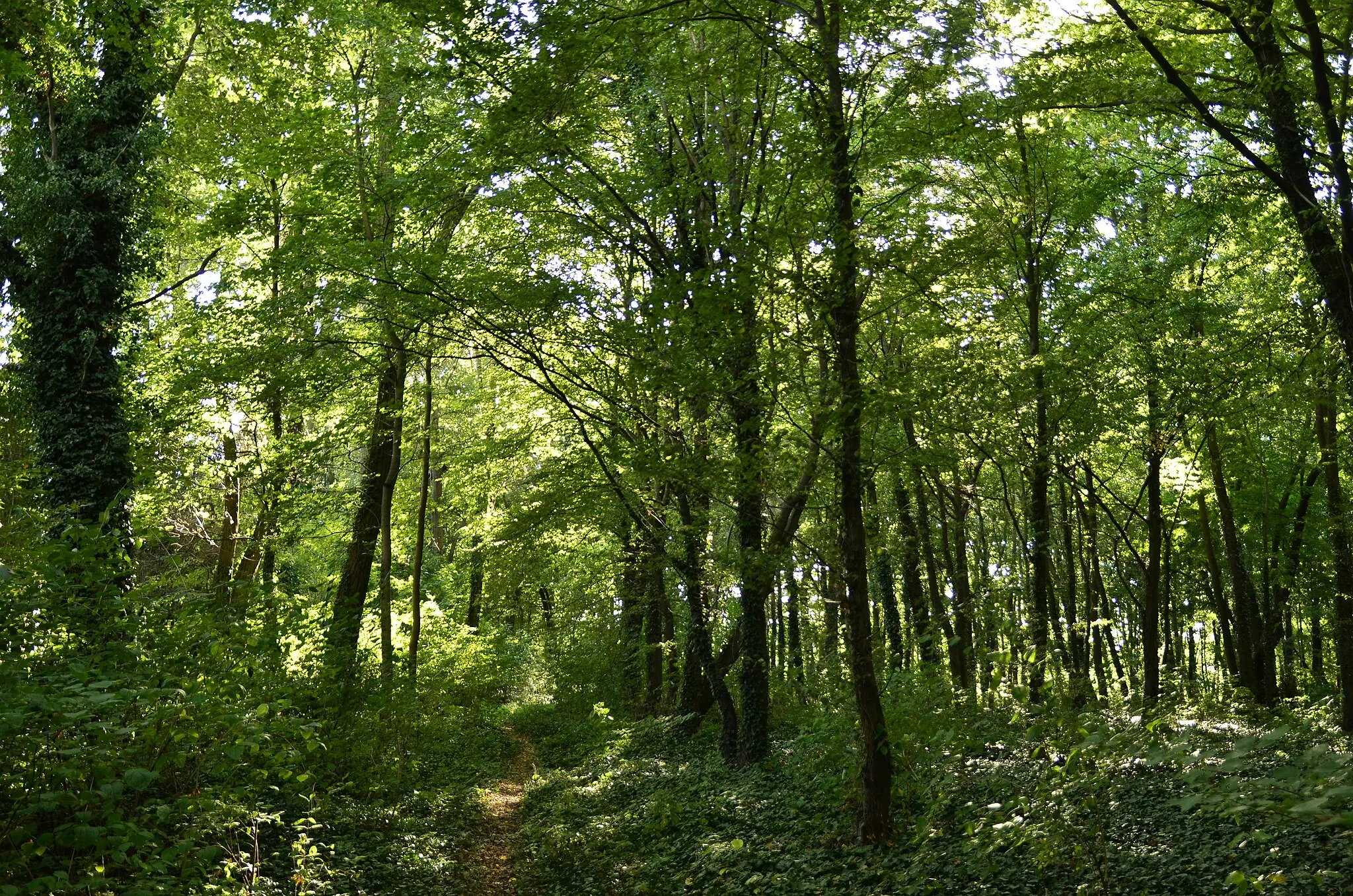 Photo showing: zespół dworski, park, XVIII – XIX w., wieża romantyczna, poł. XIX w., dom rządcy z 1. poł. XIX w. , kuźnia z  poł. XIX w.
Śliwno, Kuślin