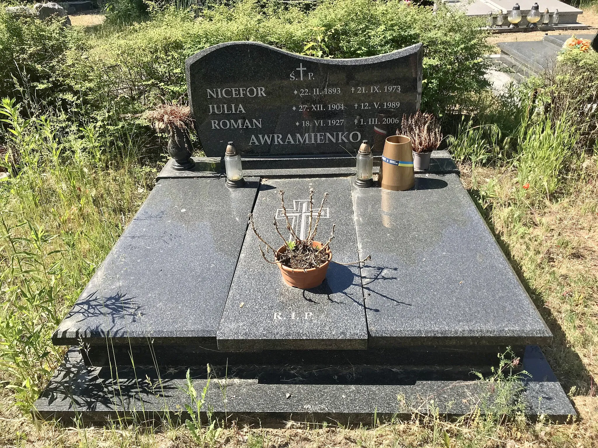 Photo showing: A grave of the captain of the Ukrainian People's Republic army Avramenko Nykyfor Antonovych.