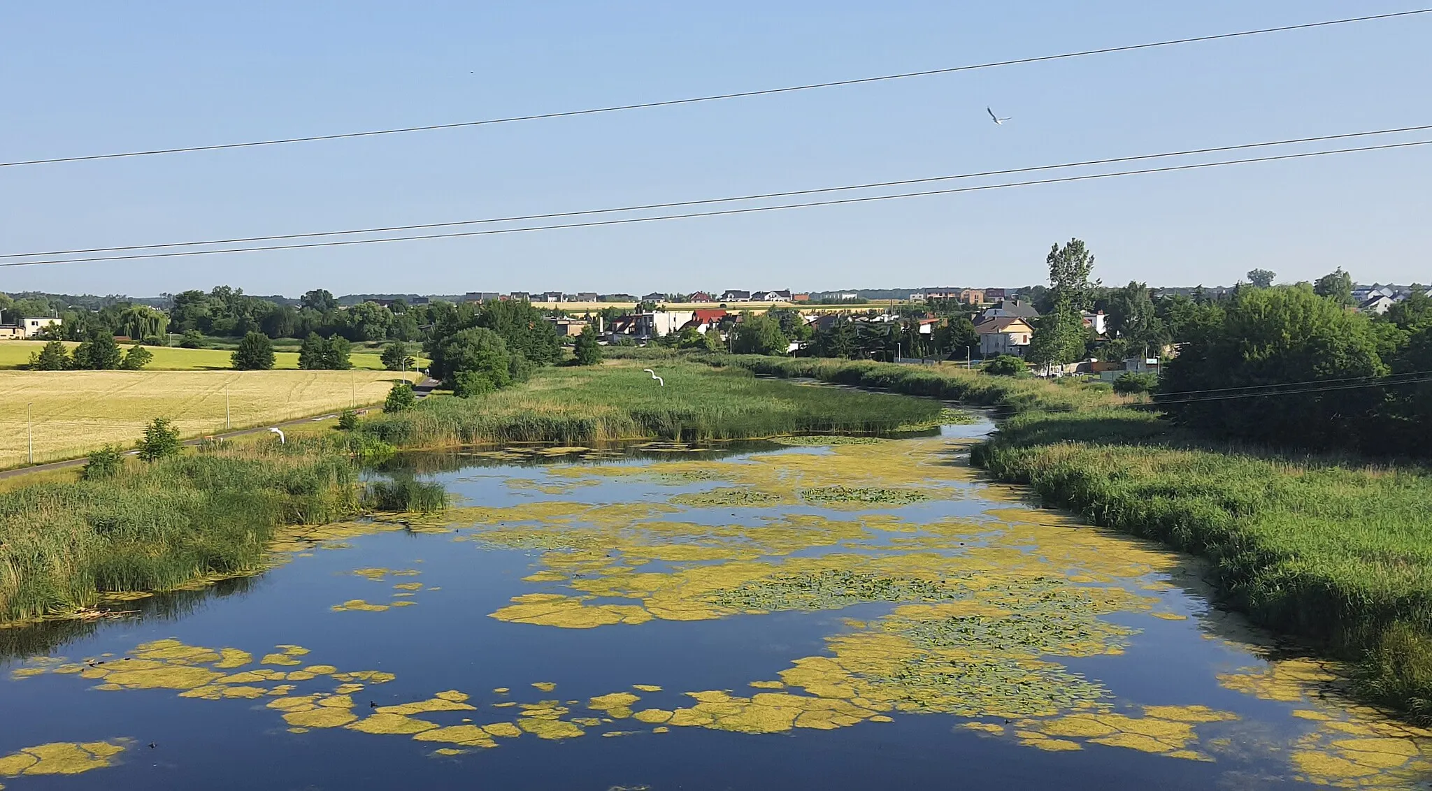 Photo showing: Wieś położona w Wielkopolsce. Widok na zbiornik wodny z pociągu.